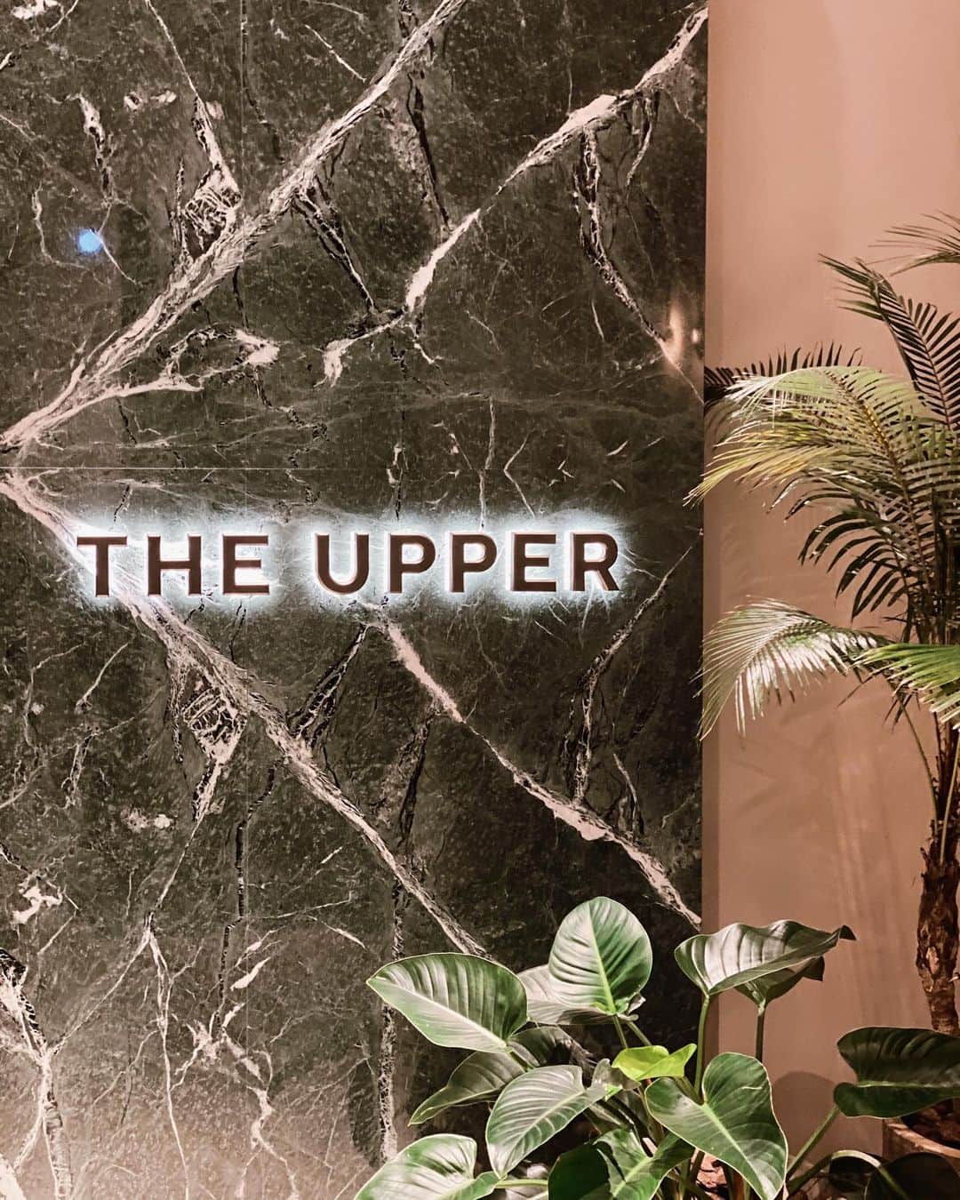 菊井彰子のグルメインスタ