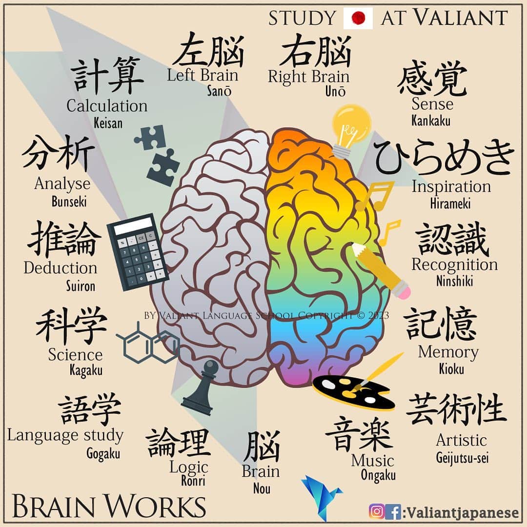 Valiant Language Schoolさんのインスタグラム写真 - (Valiant Language SchoolInstagram)「・ 👩🏼‍🏫🗣: Start Learning Japanese with @ValiantJapanese ! DM us for details.  ・ ⛩📓: Simple Japanese: Brain Works 🧠 . . . . . . . . .  . #japaneselanguage  #logic  #nihongojapanese  #日本語  #hiragana  #katakana  #foodporn  #일본어  #studyjapanese   #japaneseramen   #Jepang #japanesefood  #noodles #psychology  #entrepreneurship  #ceolife」4月15日 16時24分 - valiantjapanese