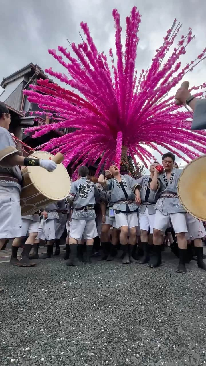 東京DANDYのインスタグラム：「At Mino Festival last week. A 4-hour journey from my home in Tokyo to the countryside of Gifu Prefecture. A centuries-old tradition of washi paper making in this area is celebrated in paper blossoms affixed to portable shrines and parades through the Edo era streets, ‘petals’ left behind on the sides of buildings. This is the first time in 4 years this festival has taken place, an important ritual expressing the unique cultural identity of Mino City.  #japan #festival #美濃まつり #美濃市 #まつり #spring」