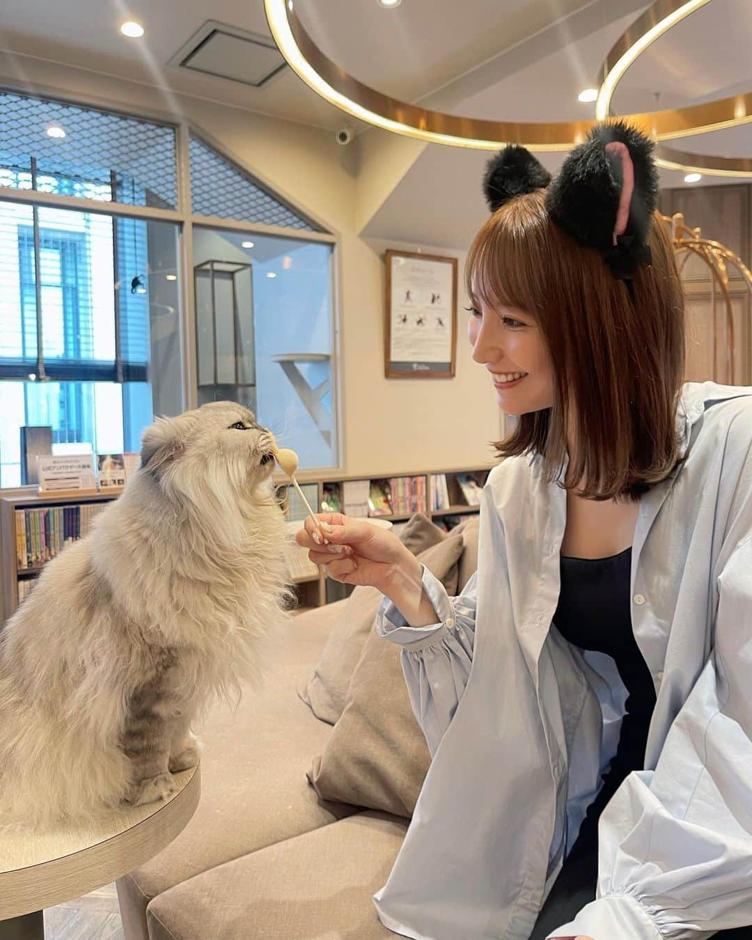 堀みづきのインスタグラム：「可愛いにゃんこたちに 会いに猫カフェ行ってきた🐈🖤 @mocha.koendori   長毛猫ちゃん達が 多くてまったり癒し空間でした🥰  どの子も大人しくて 本当にかわいい…🥹❤️  漫画が読めたりドリンクバーもあって 施設が充実してて最高だったな🫧  #猫カフェmocha #猫カフェモカ #猫カフェ #PR #渋谷猫カフェ　#渋谷カフェ #ねこ　#ねこ部」