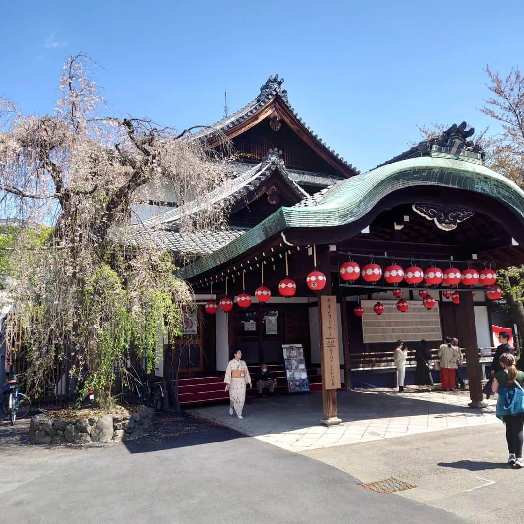 上杉隆さんのインスタグラム写真 - (上杉隆Instagram)「そうだ、京都、行こう👘」4月15日 16時55分 - takashiuesugi
