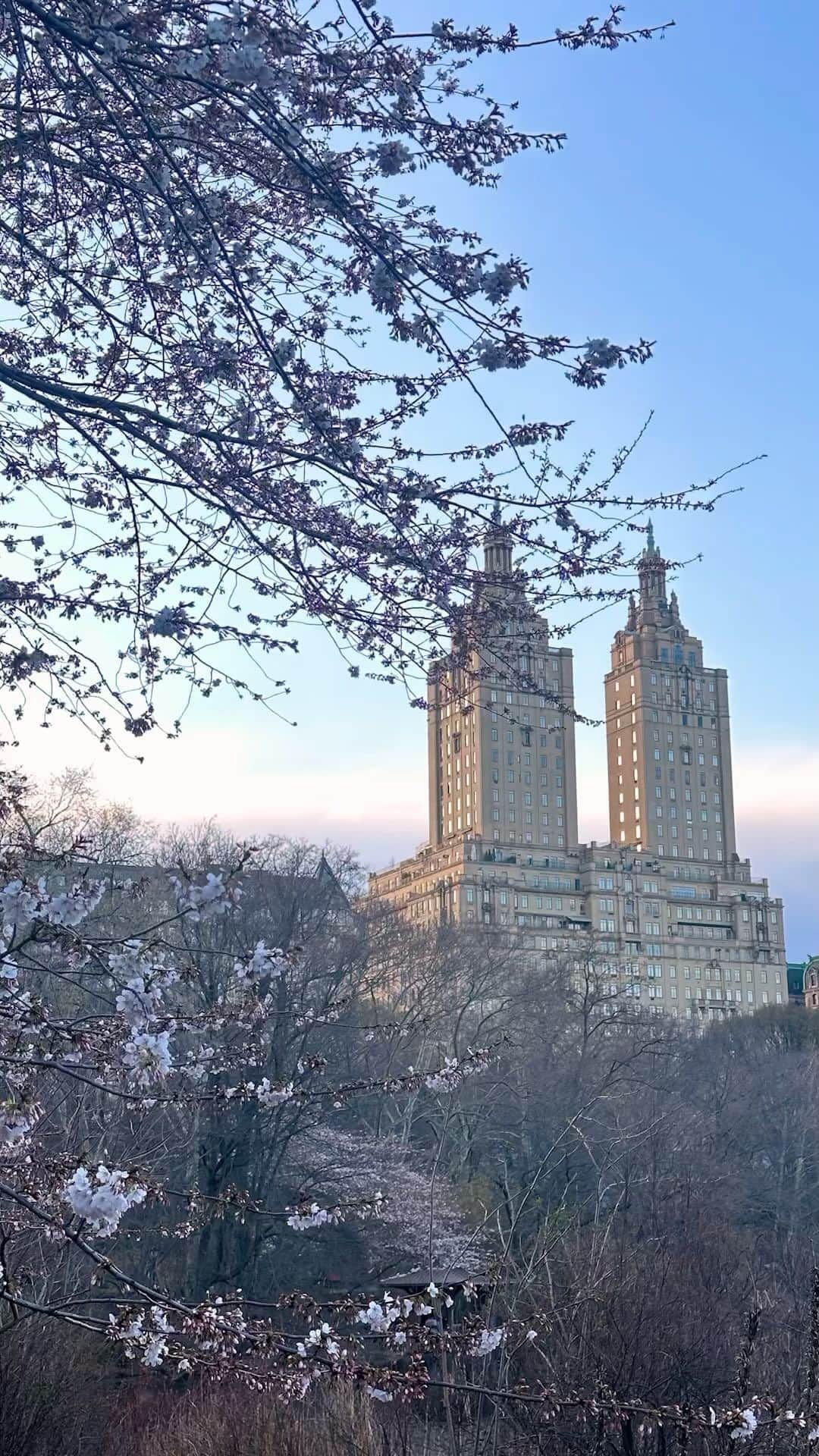 BradelisNewYork/ブラデリスニューヨークのインスタグラム：「. NewYorkの春の景色をお届け！  下着にも春カラーを取り入れてこの季節を満喫しませんか？°˖✧  #ブラデリスニューヨーク #ブラデリス #bradelisnewyork #育乳ブラ #bradelis #育乳 #補整ブラ #補整下着 #補正 #補正ブラ #スタイルアップ #ボディメイク #styleup  #バストケア #美ボディ #バストメイク #newyork」