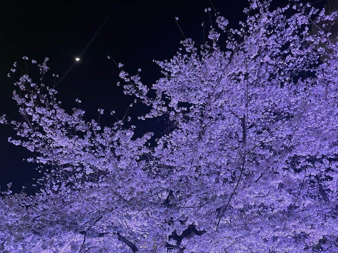 北川綾巴のインスタグラム：「来年も楽しみ...🌸」