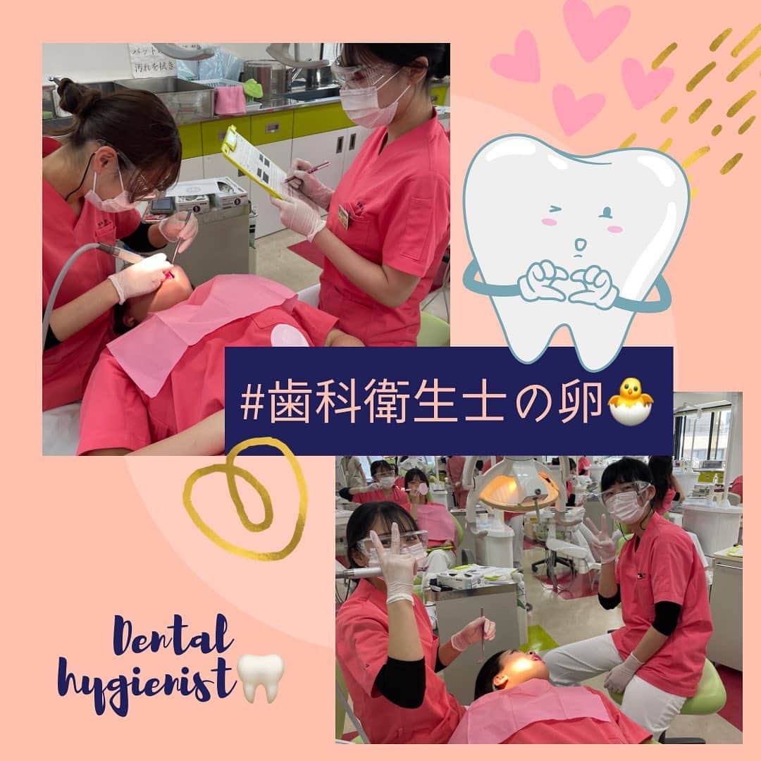 東京医薬専門学校さんのインスタグラム写真 - (東京医薬専門学校Instagram)「こんにちは♪ 🦷歯科衛生士科🦷うちだ です✨ (@iyakudh )  今日は3年生の授業風景をお届けします🦷 3年生は4月から臨地実習に行っていますが学校で授業の日もあります👩‍🏫 . 実習授業に潜入してきました〜！ カメラを向けると📷ピース✌️ もしてくれました！笑 . 3年間で学んだ実習授業の集大成授業なので歯科衛生士に一歩ずつ近づいてます🐣 みんな素敵な歯科衛生士になるためにがんばれ🫶🏻 . . オープンキャンパスの参加お待ちしてます🎈歯科医院で実際に使用してる機械を使って体験授業ができる日もあります✨ . #東京医薬看護専門学校 #東京医薬 #専門学校#歯科衛生士科の卵  #歯科衛生士専門学校 #歯科衛生士実習 #歯科衛生士になりたい  #dh #歯科衛生士#歯科衛生士の卵🐣 #歯科衛生士になる」4月15日 17時33分 - tokyo_iyaku