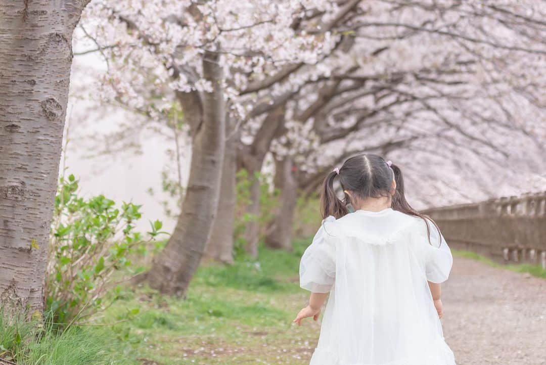 あつろーさんのインスタグラム写真 - (あつろーInstagram)「ぷくちゃんの入園記念でいつもお世話になっている松川さんに今回も撮影して頂きました🙇‍♂️✨ @ties.photography  ありがとうございます！！ いつも和やかな雰囲気で撮影してくださって、 ぷくえるのいい表情を引き出してくださる素敵なカメラマンさんです☺️ ぷくちゃんは妖精の様で僕は終始デレデレでした笑 えるくんとはオーバーオールでお揃いです😊 最近のぷくえるはひろと僕の顔に1人ずつ似てきてとても微笑ましいです♪ 好きな人に似ている子と毎日一緒に入れてとても幸せです✨ ぷくちゃんは無事幼稚園に入園し、最初は不安でしたが毎日楽しそうに幼稚園に通っています☺️  また更新しまーす👋 #桜満開 #入園おめでとう」4月15日 17時28分 - atsu6u