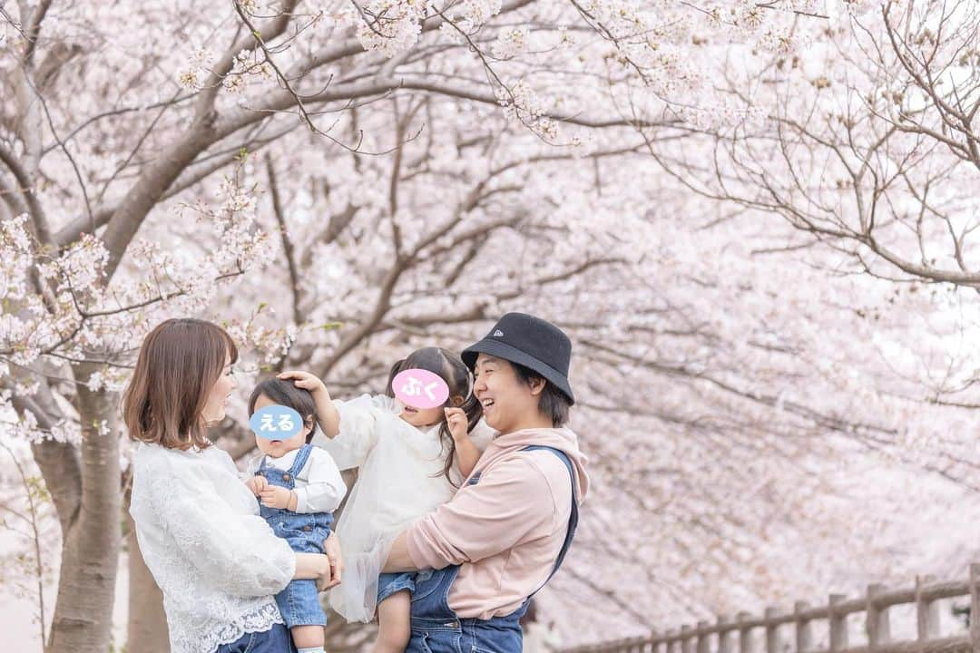 あつろーのインスタグラム：「ぷくちゃんの入園記念でいつもお世話になっている松川さんに今回も撮影して頂きました🙇‍♂️✨ @ties.photography  ありがとうございます！！ いつも和やかな雰囲気で撮影してくださって、 ぷくえるのいい表情を引き出してくださる素敵なカメラマンさんです☺️ ぷくちゃんは妖精の様で僕は終始デレデレでした笑 えるくんとはオーバーオールでお揃いです😊 最近のぷくえるはひろと僕の顔に1人ずつ似てきてとても微笑ましいです♪ 好きな人に似ている子と毎日一緒に入れてとても幸せです✨ ぷくちゃんは無事幼稚園に入園し、最初は不安でしたが毎日楽しそうに幼稚園に通っています☺️  また更新しまーす👋 #桜満開 #入園おめでとう」