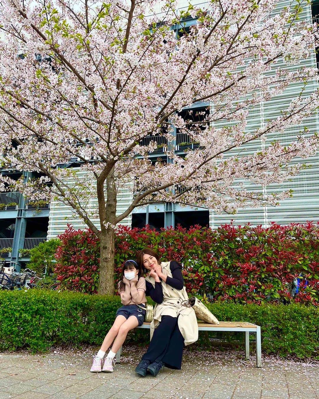 宮川紗麻亜のインスタグラム：「🌻 今年の色んな所の桜とお友達と🌸💗 今年はあんまり桜の写真が撮れなかったな… また来年🌸  #桜 #cherryblossom #벚꽃 #귀엽다 #お花 #🌸 #桜餅大好き #花より団子」