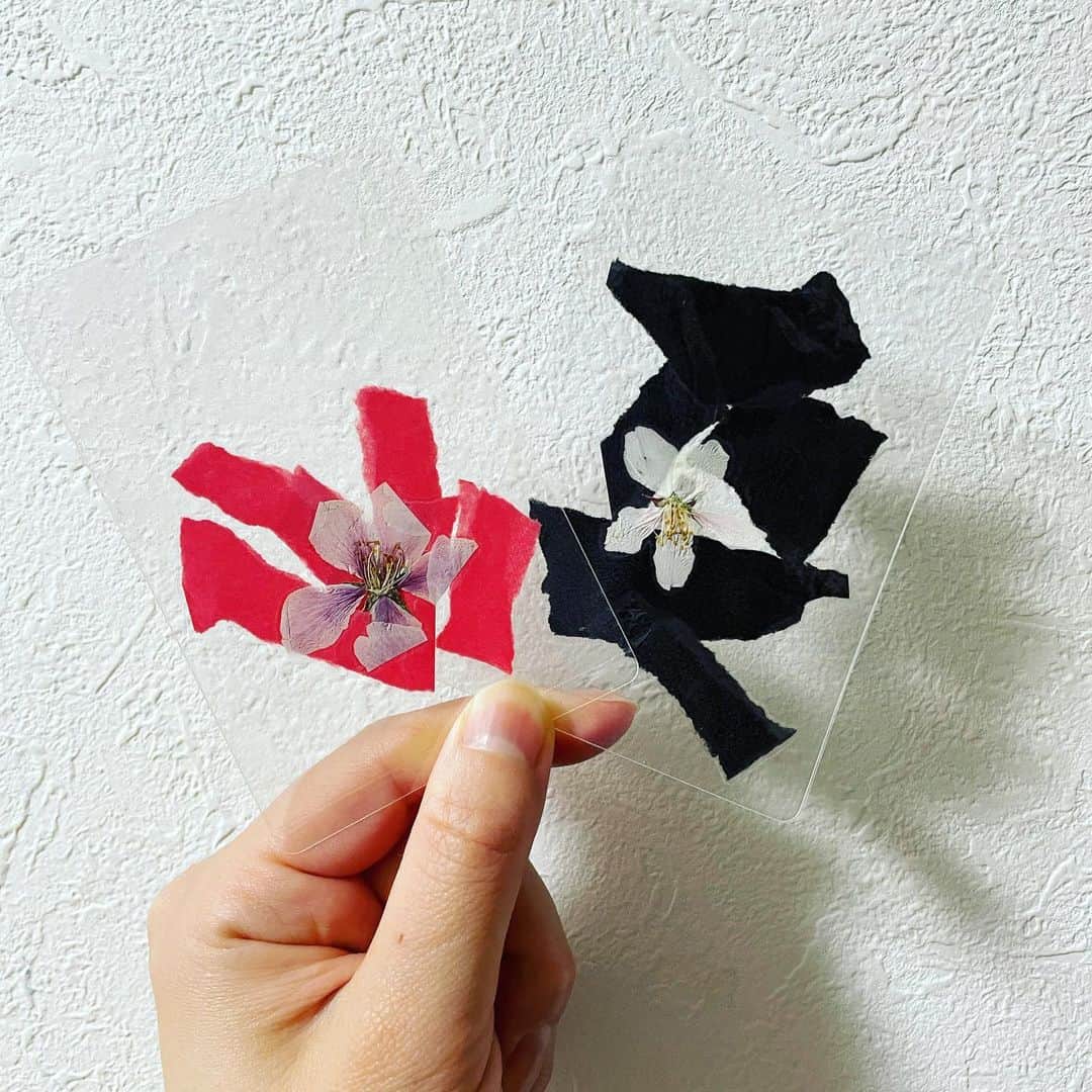 加納有沙さんのインスタグラム写真 - (加納有沙Instagram)「ひろったサクラの花を図鑑にはさんで押し花にしていたので、ラミネート加工して栞にしました🌸  赤と黒は２歳児作。  水色と緑はわたしが作ったけど、 写真に入り込む おじゃまむしカー🚐笑」4月15日 18時03分 - alissakano
