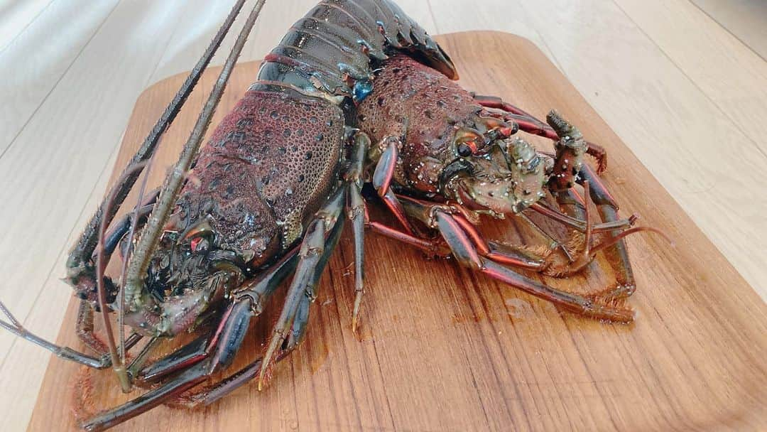 二宮歩美のインスタグラム：「『伊勢海老のお刺身🦞』 頂いたギフトカタログの中に伊勢海老があったので初めて注文しちゃいました📚  立派な2匹✨  ちゃんと捌けるか心配でしたが、出羽包丁と調理用のハサミで意外と簡単にお刺身に🔪  めちゃくちゃ食べ応えがあって美味でした🤭  後は伊勢海老の味噌やアラで出汁をとってみましたが、めちゃくちゃ濃厚🤤  さて、なんの料理にしようかな❓✨  #二宮歩美 #料理研究家 #伊勢海老レシピ」