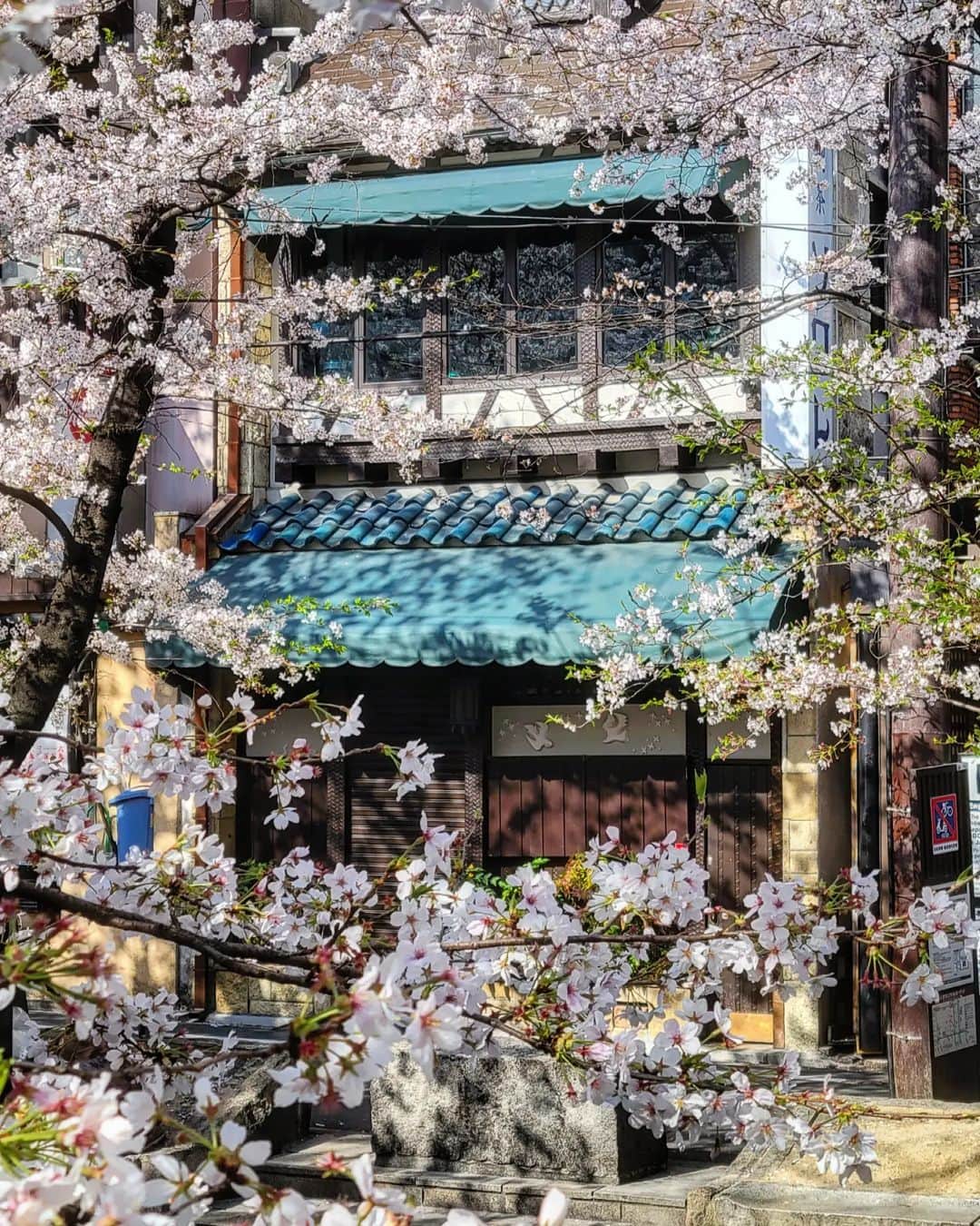 CAFE-STAGRAMMERさんのインスタグラム写真 - (CAFE-STAGRAMMERInstagram)「Did you enjoy seeing the cherry blossoms in full bloom this spring? さくら咲く季節に煌めく、喫茶ソワレ♪  #京都 #喫茶ソワレ #☕ #京都カフェ #kyoto #kyotojapan #kyotocafe #kyotocoffee #喫茶店 #京都喫茶店 #cafetyo #カフェ #cafe #咖啡店 #咖啡廳 #咖啡 #카페 #คาเฟ่ #Kafe #カフェ巡り #coffeeaddict #カフェ部 #cafehopping #coffeelover #カフェスタグラム #instacoffee #instacafe #京都カフェ部 #sharingaworldofshops」4月15日 18時32分 - cafetyo