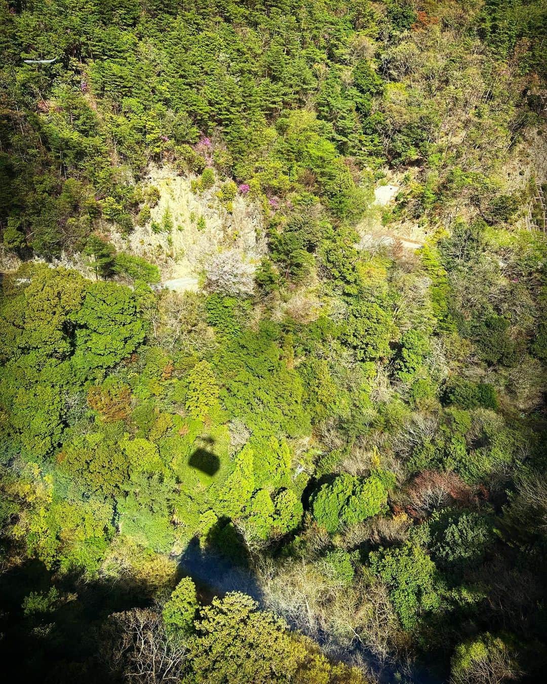 永島聖羅のインスタグラム：「🚡」