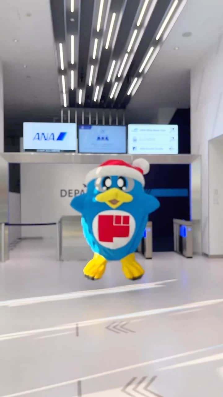 ANAのインスタグラム：「つかまえた🐧🐧🐧✊ @donki_jp  @donpen_official  #allnipponairways #ana #airport #ドンキ #donki  #Japan #ドンキホーテ #ドンペン #ドンコ #donpen #donko #ANABlueBase #donki #CA #客室乗務員 #cabinattendant」