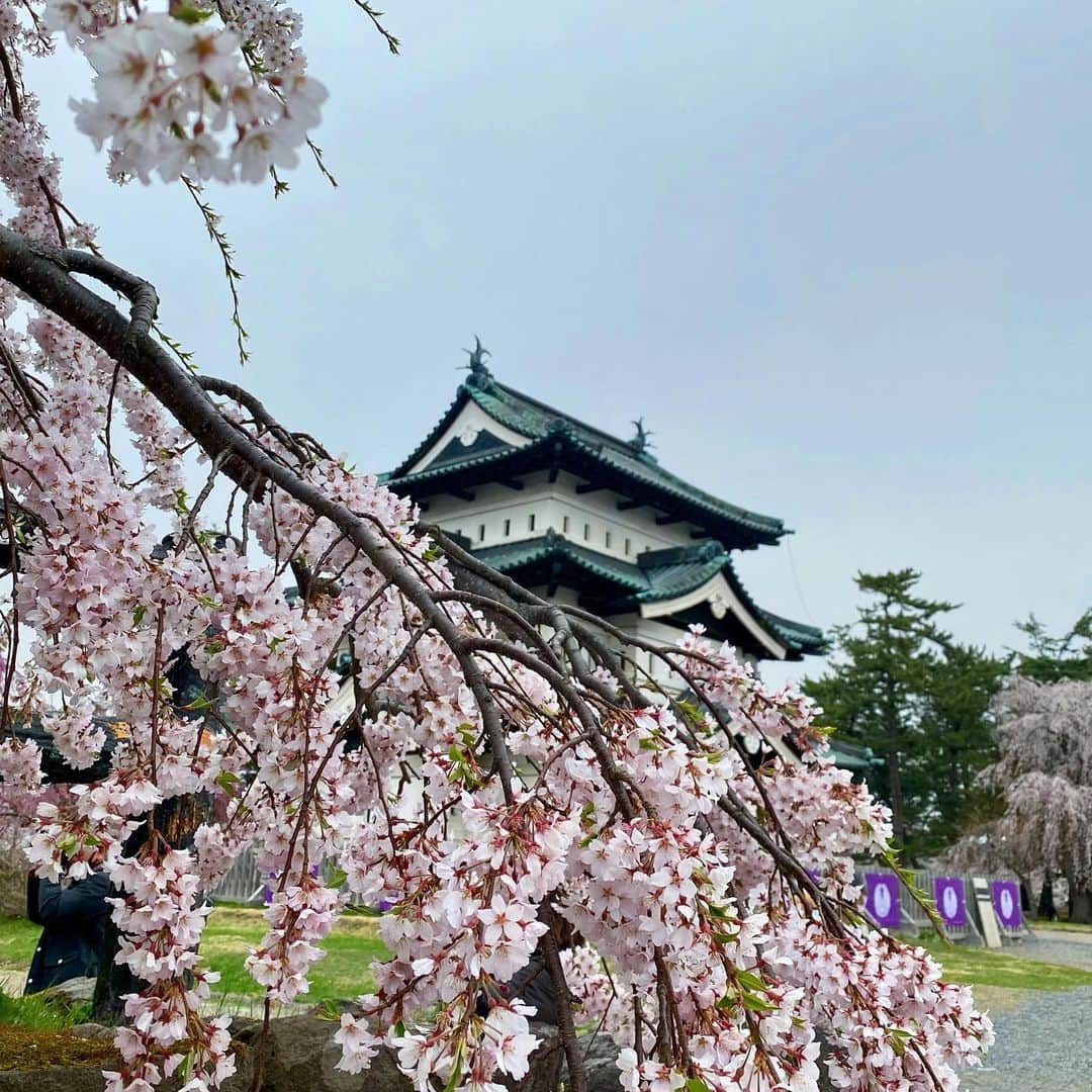 新山大のインスタグラム