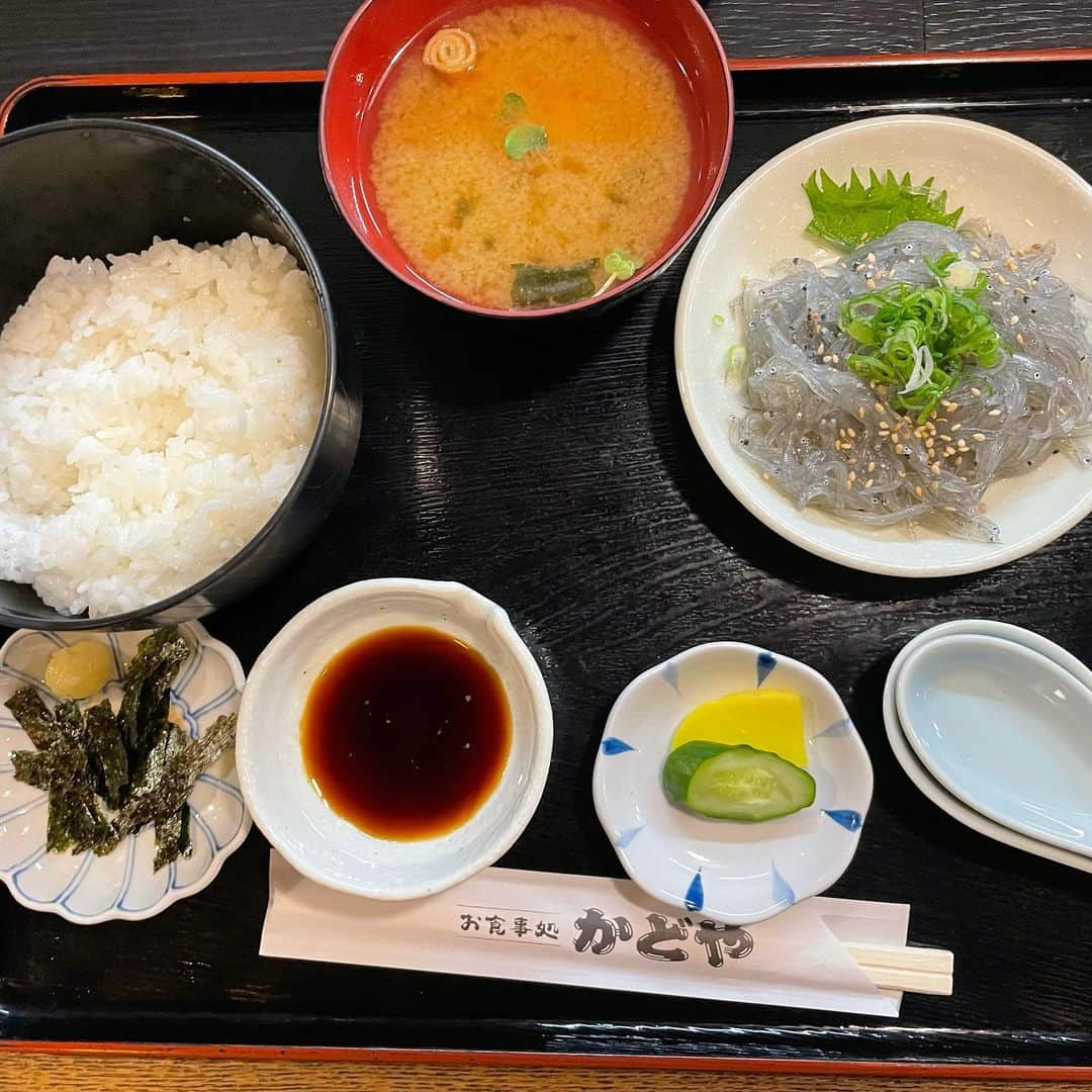 早川優衣さんのインスタグラム写真 - (早川優衣Instagram)「和歌山県 • 湯浅町 📸 相席食堂のロケをした場所です。 ロケの時は緊張して、本当にほぼ記憶を失ってしまって残念だったので、、。 弟と一緒に自分で自分のロケ地巡りしてきました😂🐾 1枚目から、角長さん、花莚さん、かどや食堂さん。  皆さんとても温かく迎えてくださり、お話しすることができて嬉しかったです！😊 ロケ中も、緊張して泣きそうになっている私に 沢山優しい声をかけてくださりました。 放送されなかった場面でも、出会った方皆さんに助けていただきました！  街の歴史を、街の皆さん全員で守っている素敵な街。 そして何より、街の方が優しい☺︎ 最後には皆さんから、沢山お土産も頂いちゃいました🍓  今回はあんまり時間がなかったけど、また友達とのんびり和歌山旅行したいな〜☀️ : #和歌山 #和歌山観光 #湯浅町 #角長 #花莚 #かどや食堂」4月15日 19時30分 - yui_hayakawa