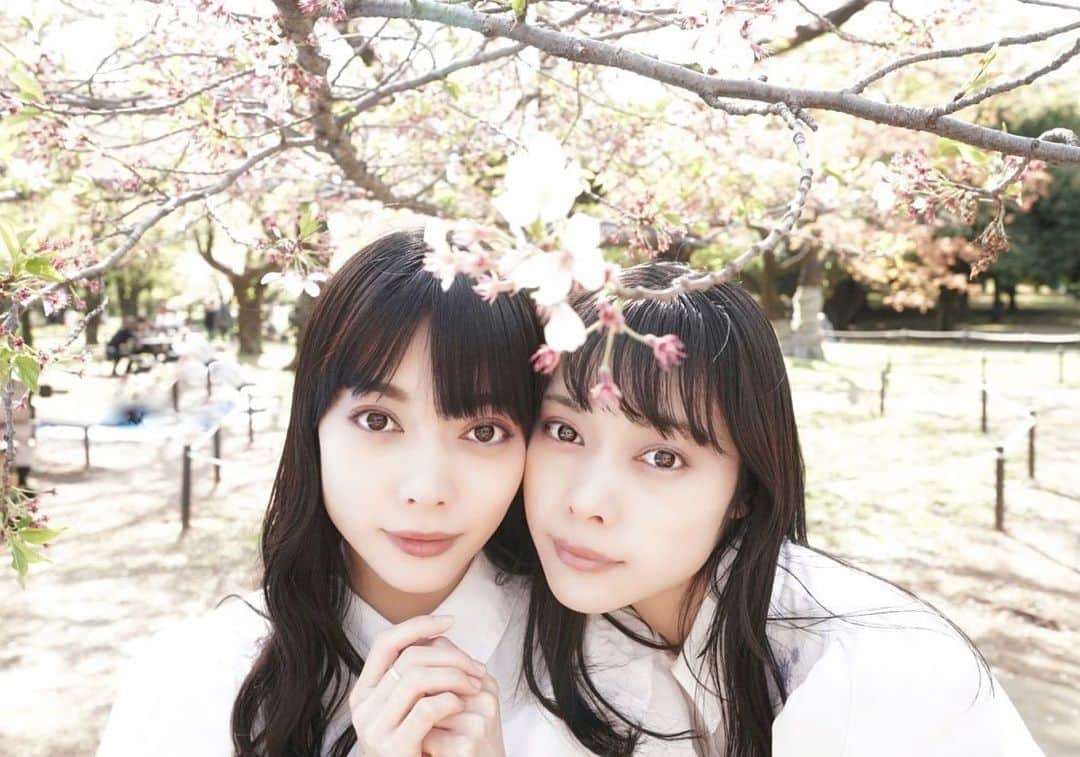 のインスタグラム：「. 桜とMIOYAE🌸 . . #ポートレート#春ポートレート#桜ポートレート#ポートレート撮影#被写体#双子#双子モデル#portrait#photography#photographer#makeup#twins」