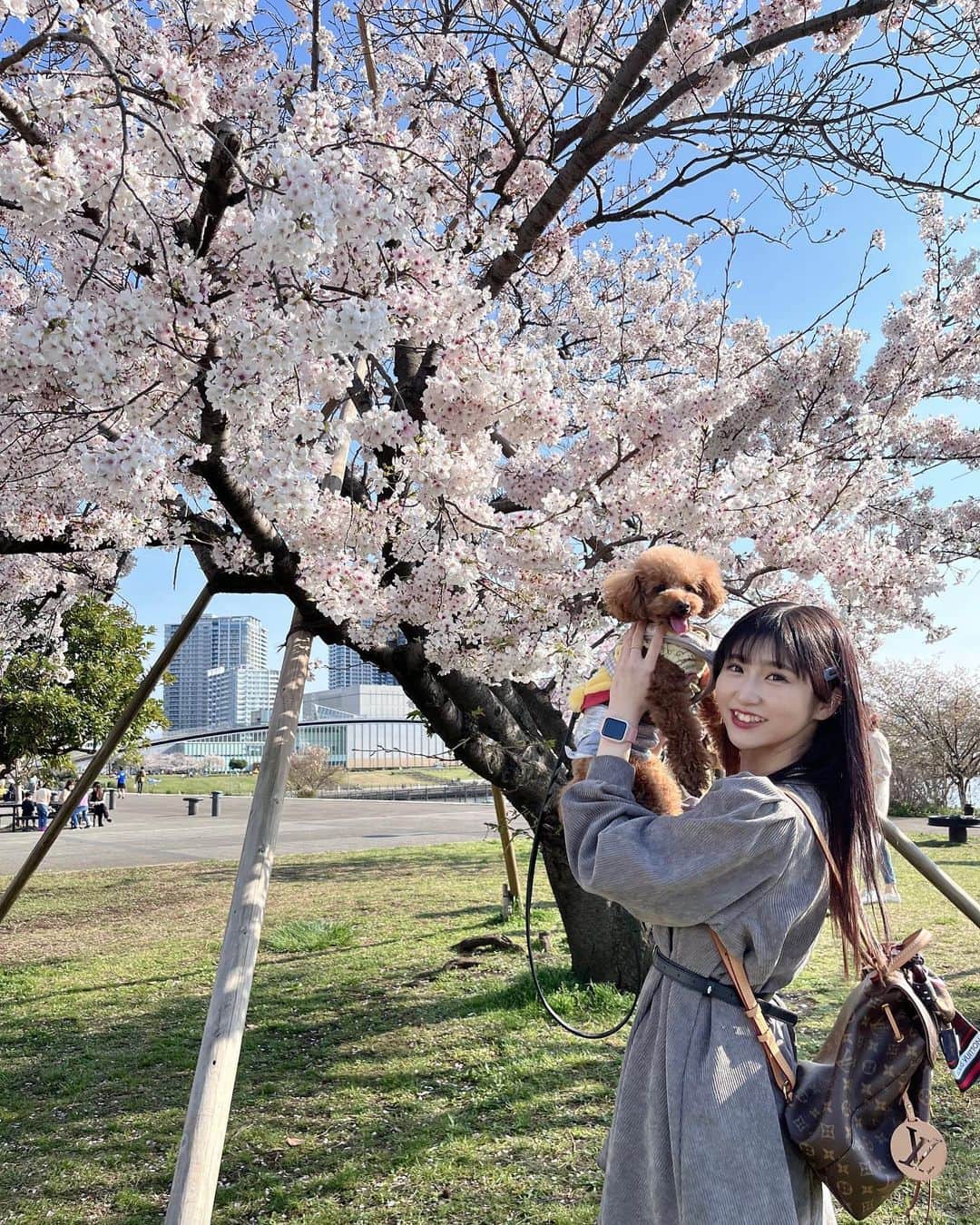 坂本愛莉さんのインスタグラム写真 - (坂本愛莉Instagram)「もう散っちゃったけど🥲🌸🫧」4月15日 19時53分 - airi_sakamoto04