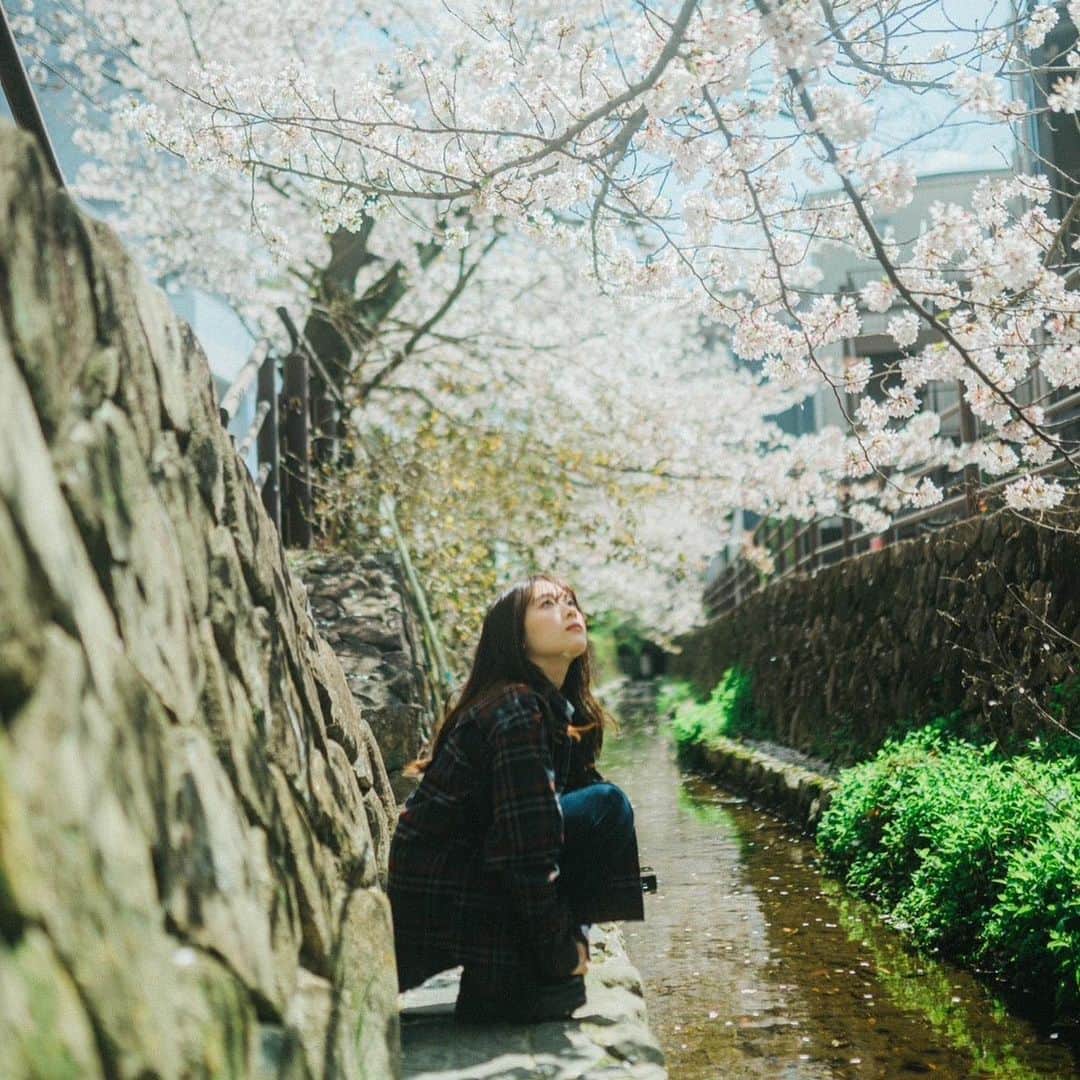白河芹さんのインスタグラム写真 - (白河芹Instagram)「見えないものは分かりにくいけど一番本物だし大切だったりするの」4月15日 20時04分 - seri_shirakawa