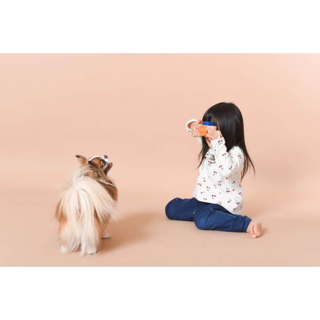 Photo Studio178のインスタグラム：「初めて髪を切る前に 家族写真撮影のご依頼を 頂きました👧🐶 　 なかよしのふたり☺️  *.:･.｡**.:･.｡**.:･.｡**.:･.｡**.:･.｡**  【もっと気軽に 愛犬と写真がとれる フォトスタジオ】  @studio178_wanko  *.:･.｡**.:･.｡**.:･.｡**.:･.｡**.:･.｡** 　 #3歳女の子　 #チワワ #チワワのいる暮らし  #スタジオ178わんこ #月島 #勝どき #豊洲 #中央区#江東区 #写真スタジオ #フォトスタジオ #写真館  #家族写真  #dog #dogstagram #doglife #doglover #わんこポートレート #withdog #pawtraits  #わんこのいる暮らし #わんこのいる生活  #わんすたぐらむ   #いぬのきもち #犬スタグラム #犬部 #犬との暮らし」