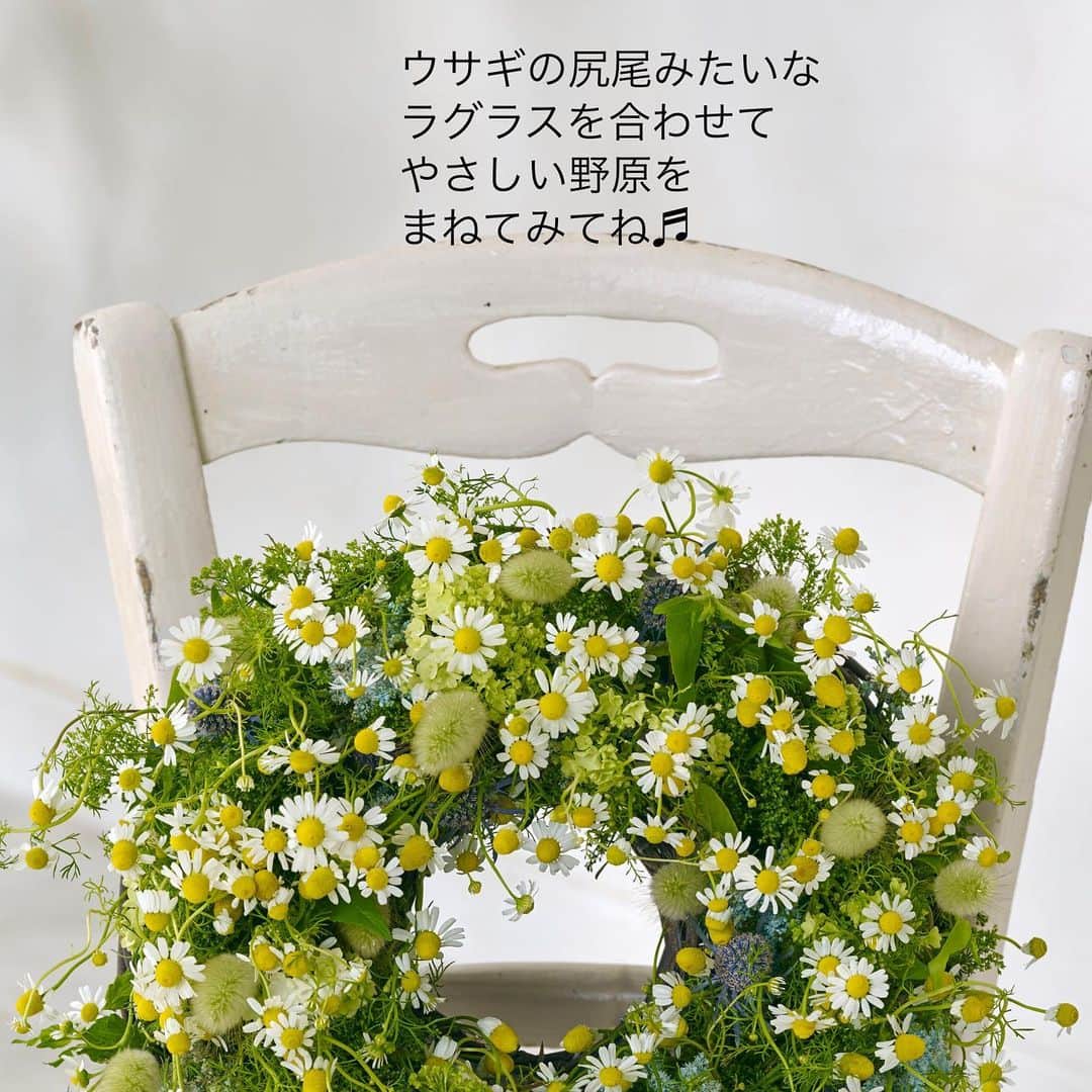 雑誌『花時間』さんのインスタグラム写真 - (雑誌『花時間』Instagram)「小花好きさん、集まれ！  花時間（@hanajikan_magazine）です。  白い小花は、ハーブのカモミール。大量にではないけど、切り花としても、出回っているんです。  知ってた？  香りは、甘酸っぱいリンゴ🍎の香り。  コップに挿して飾るだけでも、癒やし度💯さんなんです。  なお、ジャーマンカモミールの場合、花が終わりに近づくと、花びらが下がってくるようです。  できるだけ、花びらが下がっていない花が多くつくものを選ぶと、より新鮮なのかもしれませんね。  ふかふか尻尾のラグラスを合わせて飾ってみませんか？  マトリカリアでも、似た感じで楽しめますよ。  では、本日もお疲れさまでした！明日も元気smile😊😊😊で、よい休日をお過ごしくださいね。 byピーターパン  リース　@hideka_tadenuma  写真　@中野博安  【花時間ニュース】 💜『花時間』から、花の定期便がスタートしました🥰　世界でここだけのバラと旬花が届く嬉しいサービスです💕  💜『花時間2023秋冬』〈春夏秋冬。季節のリース〉大好評発売中！  💜2023年『花時間』カレンダー絶賛発売中！  💜『花と短歌でめぐる 二十四節気 花のこよみ』大好評発売中  すべて @hanajikan_magazine のプロフィールのリンクから飛べます✈️  『花時間』本誌や書籍は全国の書店、ネット書店でも発売中✨  #花時間 #フラワーアレンジ #カモミール #リース #リースのある暮らし  #小花 #小さな花  #花が好き #花が好きな人と繋がりたい #花を飾る #花を飾る生活 #花屋さんへ行こう  #ハーブのある暮らし」4月15日 20時07分 - hanajikan_magazine