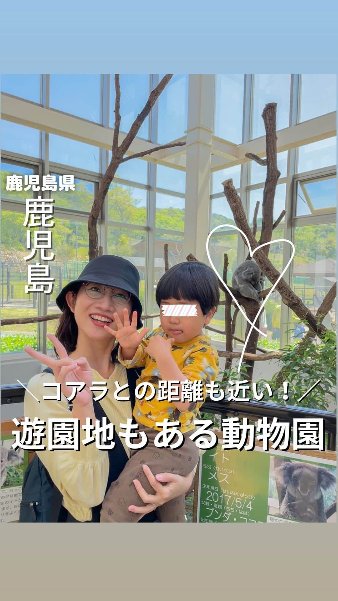 山下智子のインスタグラム：「… 他のスポット◀︎@tomoko__yamashita   鹿児島の動物園といえば！ 平川動物公園🐨🐯🦒  行けば行くほど子どもが興味津々で夢中になります。  新しくなったコアラ館では、ガラス越しでなく 同じ空間でコアラを観察できます🐨  2年半ぶりの展示となったホッキョクグマのライトは ちょうど部屋に帰っていて会えなかったから 次回リベンジ🐻‍❄️  敷地内に隣接する遊園地では 大人が付き添えば未就学児も利用できる 遊具もあります🎡 この日はメリーゴーランド、観覧車、飛行塔を 楽しみました✨  鹿児島県民懐かしの白雪姫の時計も現役です！！笑笑  ちなみに大型連休の5/3-6日は駐車場を利用する場合は 事前予約が必要です⚠️ 大型連休前の今！訪れるのもおすすめです🤩  結構歩くのでベビーカーおすすめです😇 (我が家は持参しました！)  .......................................... ◆𝐋𝐨𝐜𝐚𝐭𝐢𝐨𝐧◆ 平川動物公園 @hirakawazoo  📍鹿児島県鹿児島市平川町5669-1 open 9:00-17:00(入園は16:30まで) close 12/29-1/1 🚘駐車場有 ベビーカー有料貸出 オムツ替え・授乳スペース有 ..........................................  #tomoko__yamashita_kagoshima 「鹿児島」に関する投稿は、 このハッシュタグで検索！  ..........................................  ◆𝑻𝒉𝒂𝒏𝒌𝒔◆ 最後まで読んでくれてありがとうございます❤️  このアカウントは、 鹿児島の子連れランチ・スポットを 発信しています♪  ☀️鹿児島市内から車で行く ☀️2歳男の子と楽しむ ☀️地元かごんまの魅力  を発信しています♪  ／ フォロー・いいね・ コメント・保存大歓迎♪ 喜びます🙋‍♀️ ＼  @tomoko__yamashita  ..........................................   #子連れ #子連れお出かけ #お出かけ #子どもとお出かけ #九州お出かけ #子連れでお出かけ #鹿児島 #鹿児島お出かけ #鹿児島子連れ #鹿児島子連れお出かけ #鹿児島ママ #子連れスポット #平川動物公園 #鹿児島観光」