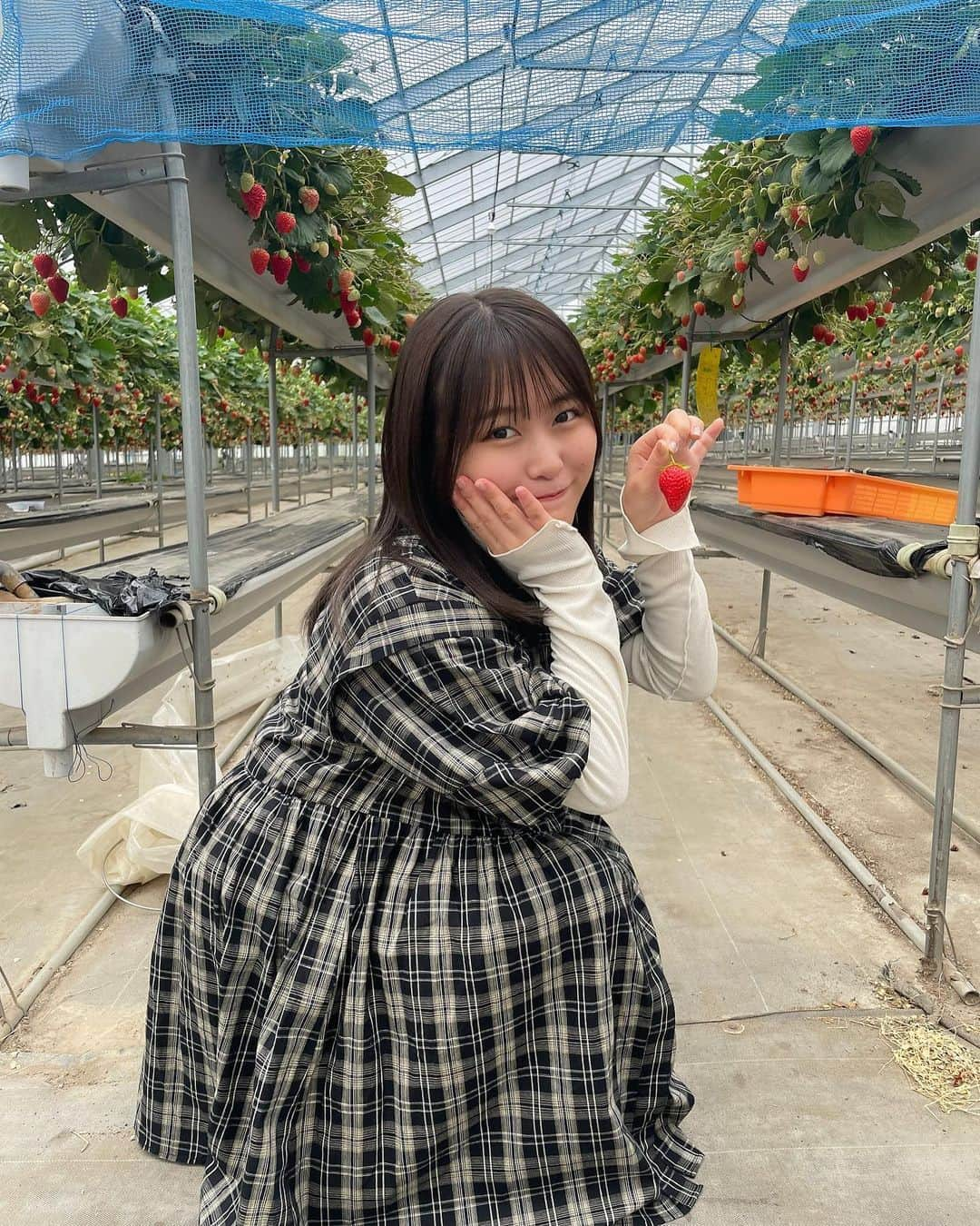 島崎友莉亜さんのインスタグラム写真 - (島崎友莉亜Instagram)「いちご狩り🍓 1000チャレンジは失敗です🙀  #伊豆フルーツパーク #いちご狩り #アイドル #idol #japaneseidol #アプガ2」4月15日 20時14分 - yuria_shimazaki_uug2ki