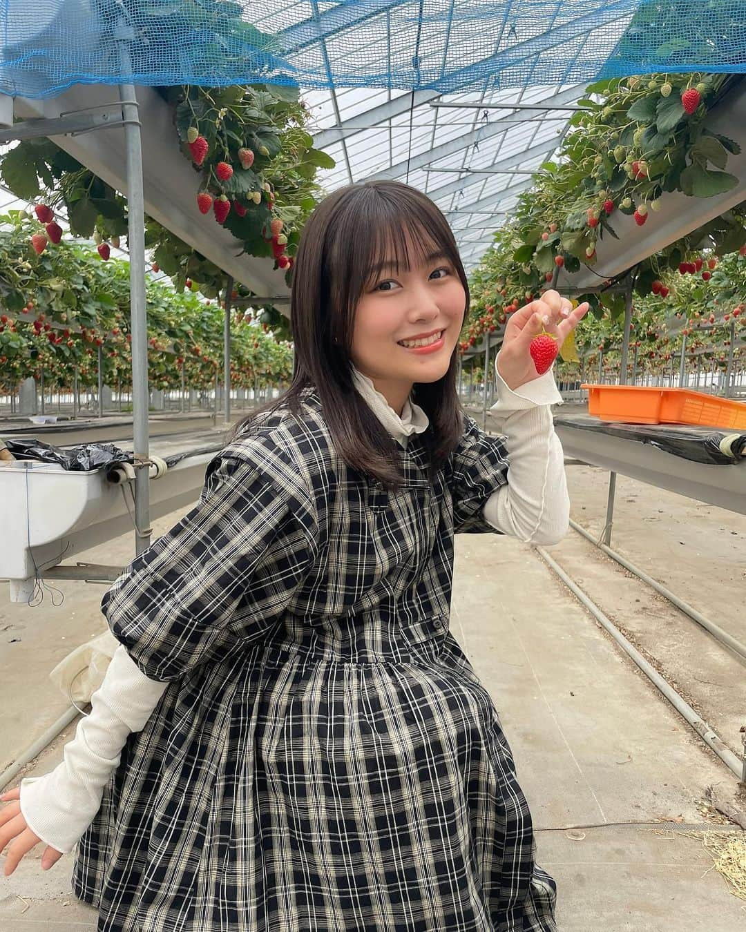 島崎友莉亜さんのインスタグラム写真 - (島崎友莉亜Instagram)「いちご狩り🍓 1000チャレンジは失敗です🙀  #伊豆フルーツパーク #いちご狩り #アイドル #idol #japaneseidol #アプガ2」4月15日 20時14分 - yuria_shimazaki_uug2ki