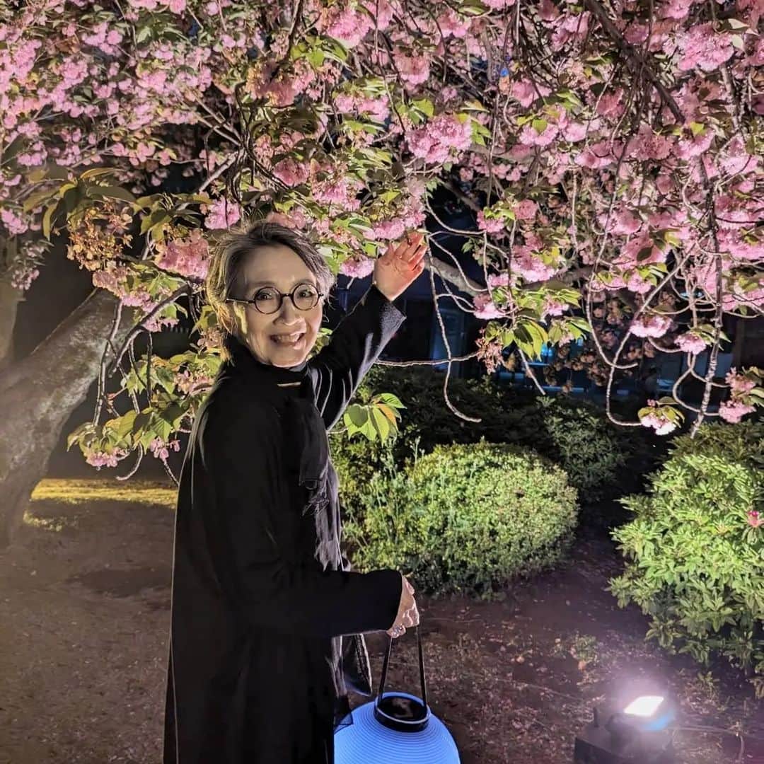 安奈淳さんのインスタグラム写真 - (安奈淳Instagram)「今年はタイミングが悪く、満開の桜を見る機会がなく残念😰 と思っていたところ、夜桜が見られるというので、昨夜新宿御苑の夜桜イベントへ行ってきました😌 色々な種類の桜がまだまだ咲いていて、ライトアップされ、幻想的な雰囲気に大満足🙆  そしてお知らせですが、宝島社から「素敵なメガメBOOK」というムック本が4月18日に発売されます。表紙と巻頭に少し出ています🙋 私もメガネは大好きなアイテムです😊  #新宿御苑夜桜 #素敵なメガネ #安奈淳」4月15日 20時29分 - annajun0729