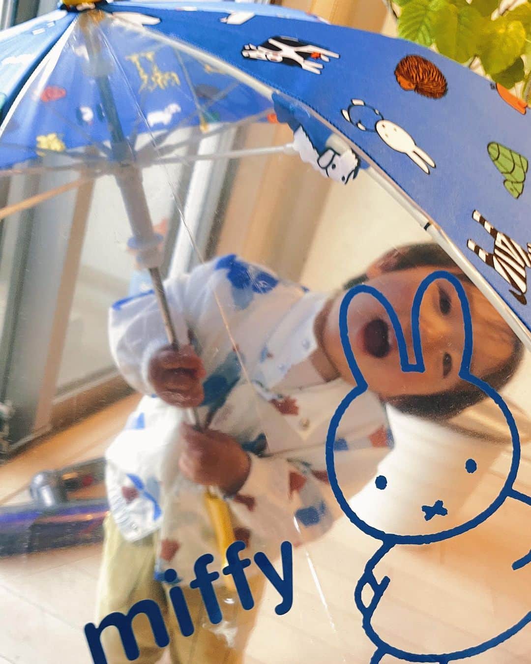さえりのインスタグラム：「仕事仲間であり、お友達でもあるあさぎーにょちゃんが(@asagiinyo )、スペイン🇪🇸のお土産にお子太郎に素敵なお洋服をくれた🥺めちゃきゃわ🥹お子太郎のことを思い出してくれて、さらりとプレゼントくれるその気持ちが嬉しすぎる〜😭わたしもそうなりたい。。  ぎにょは、以前もミッフィの傘をくれたのだけど(これまたかわいすぎるのよ😭)、そろそろ2歳になるし、安全に使えるかなと思って渡してみたら超嬉しそうなお子太郎。いちにち中、家の中で傘さしてた😂もう少し暖かくなったら、雨の日に、雨を味わう遊びをするために外に出てみてもいいな☔️」