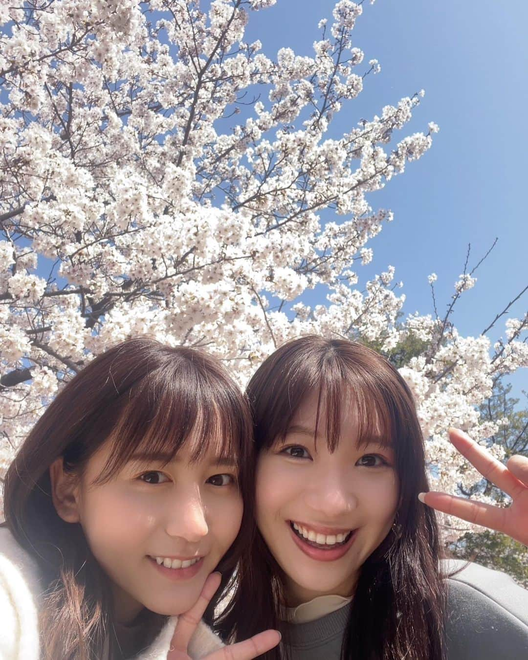 小林茉里奈のインスタグラム：「🌸 みなるんさんと舞鶴公園でお花見したときの…☺️💓 天気がとってもいい日で、快晴の青空 と桜のコントラストが綺麗でした🤍  最近みなるんさんと定期的に会えて福岡ライフが充実しています…♡笑  #お花見 #桜 #福岡 #舞鶴公園」