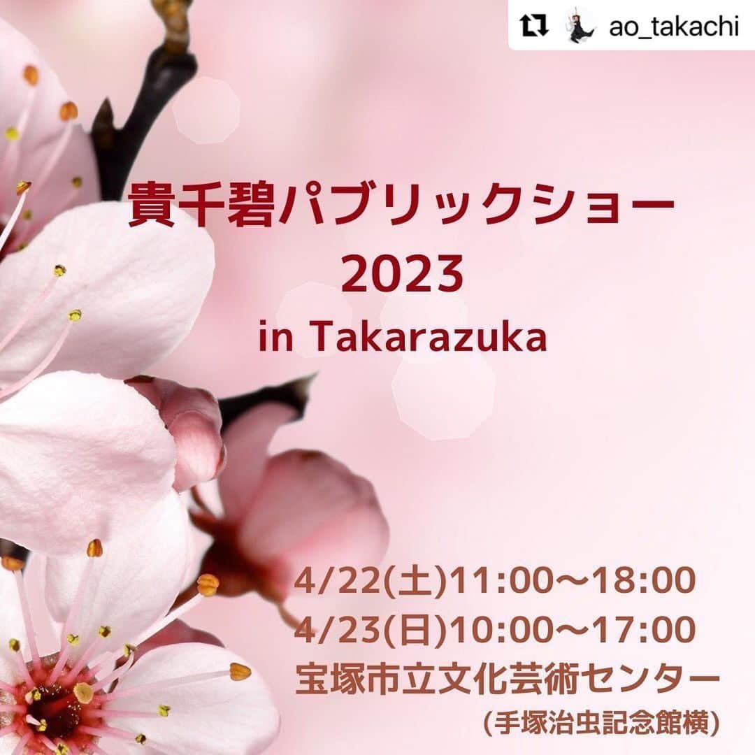 白姫あかりさんのインスタグラム写真 - (白姫あかりInstagram)「. お知らせが少し遅くなりましたが 来週4/22.23と アクセサリーたちを連れて💓 宝塚に帰ります😆🍀  関西での開催は久々なので とても嬉しいです😊 ぜひお立ち寄りいただけますと幸いです☺️  主催のまんちゃん💓 @ao_takachi  楽しみすぎるよーーー✨✨ よろしくね❤️  #Repost @ao_takachi with @use.repost ・・・ 皆様本日も1日おつかれ様でした🌸 今日はお知らせです😆 いつも東京東銀座でさせて頂いております、貴千　碧パブリックショー、この度4月に宝塚大劇場の近く、宝塚市立文化芸術センター内でさせて頂きます✊😆✨✨ 退団後からずっと続けているこの展示会、早いもので5年以上経ちます🥹✨ここまで続かせて頂けているのも力になって下さいました皆様、足をお運び頂いております皆様のおかげです。本当に本当にありがとうございます🙏☺️✨ 今回下記日程で、手塚治虫記念館の隣で開催させて頂きます🥰 とっても広いお洒落空間で、元タカラジェンヌ、そして私のお気に入りのお店の皆様と夢の共演です😍❤️✨ 是非是非お越し頂けましたら嬉しいです❣️ 当日は貴千のサロンということで、いつものカフェスペースもご用意させて頂く予定です🍀 行きたいけど場所わからないよ！と仰る方、メッセージ下さい🥰 わかりやすいアクセス方法をお伝えさせて頂きます☺️ 大劇場からも近くですのでご観劇の合間に是非お寄り頂けましたら幸いです🌸  (CHARMEさんのお写真、Instagramから使わせて頂きました。)  【貴千碧パブリックショー2023 in Takarazuka】  ◆日時 4/22(土)11:00〜18:00 4/23(日)10:00〜17:00  ◆場所 宝塚市立文化芸術センター キューブホール内にて 兵庫県宝塚市武庫川町7番64号 (手塚治虫記念館横)  ◆出展者(50音順) 白姫あかり　さん(91期) @akari_shiraki / @caline_akari.s ハンドメイドアクセサリー  澄月菜音　さん(98期) @suminadayo / @sumina_no_e イラストレーター  貴千碧(91期) @ao_takachi / @officetakachi 喜昆布  瀧川末子　さん(81期) @sueko_takigawa ハンドメイドアクセサリー  嶺乃一真　さん(89期) @happy2ndlife / @kyoutukemono.marutake 京漬物(まるたけ　さん)  皆様…もしや…もしや…4月下旬…最高に美味しい水茄子が入荷されるかもしれません‼️‼️✨まるたけさんのお漬物、どれも本当に美味しいですが、こちらのお店の水茄子、本気で美味しいです。 是非皆様にご紹介したいです🥹✨  CHARME(シャルム) さん @charme_leathers レザー商品 この度、貴千の熱烈なオファーを快くお受け下さいました🥹❤️松屋銀座のミモザコレクションでご一緒させて頂きましたがそのカラーバリエーションの豊富さと触り心地の良い革感、お洒落なデザインに沢山の女子の心を奪ってらっしゃいました。色んな百貨店様で出店されていて関西ではなかなか出店されていらっしゃらなくて、貴千の小さな小さなお店で貴重な出店となります😭🙏✨ CHARMEファンの皆様この機会に是非お立ち寄り下さい‼️  M_ALLEY さん @m.alleyalley ミシン刺繍 末子さんからのご紹介でとっっても可愛い刺繍デザインのお店です🥰私も早速イニシャルポーチを購入してしまいました😆ご縁を頂けてとても嬉しいです🍀  Kyoto candle Lieru  さん @kyotocandle_lieru 人工香料を一切使用していないキャンドル  昨年東銀座で初めて出店して頂きました😍アロマの心安らぐ香りとキャンドル好きの方にはたまらないラインナップ✨🕯 リラックスタイムに是非いかがでしょうか❤️  ◆入場無料  ◆お支払い 現金・キャッシュレス決(クレジットカードご使用頂けます)  ♦︎持ち物 訪れる勇気🫣🤭❤️  皆様との久しぶりの再会を心から楽しみにしております☺️🌸✨」4月15日 21時22分 - akari_shiraki