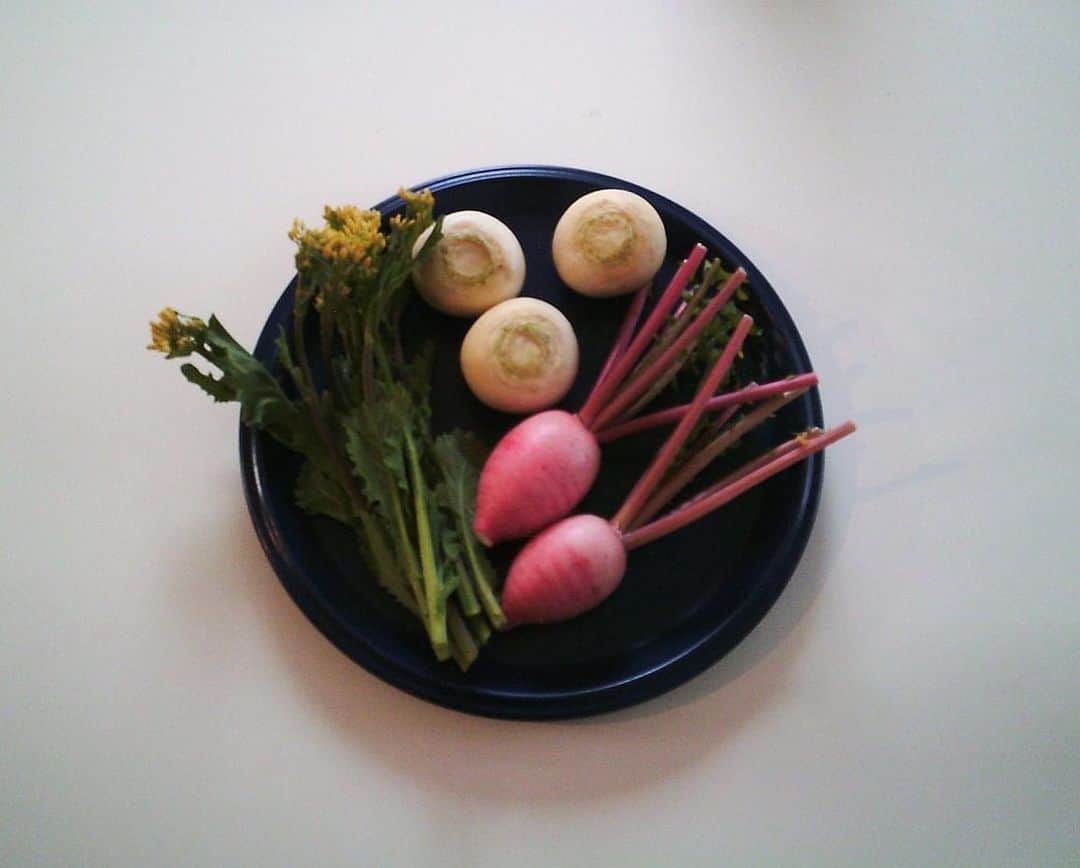 遠藤沙和子のインスタグラム：「沢山のお野菜と新しいカメラが届いた週末」