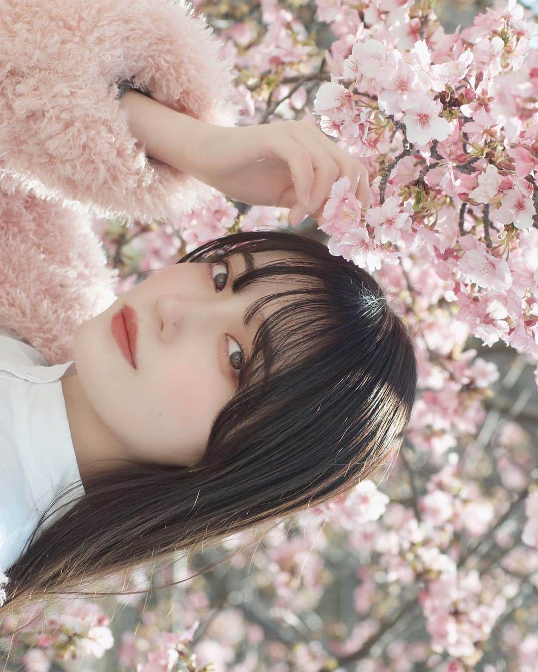 柚木ふゆさんのインスタグラム写真 - (柚木ふゆInstagram)「・ ・ ・ ピンクの世界 ・ ・ ・ ・ ・ ・ ・  #instaphoto #portrait #portraitphotography #photo #photography #桜ポートレート #桜🌸 #camera #japan #girl #ポートレート #ポートレートモデル #被写体  #サロンモデル #河津桜 #桜 #人像攝影 #人物攝影 #模特 #攝影 #淀水路 #lfl #l4l #fff #淡色女子 #淡色コーデ #サロモ」4月15日 21時40分 - fuyu_yuzuki