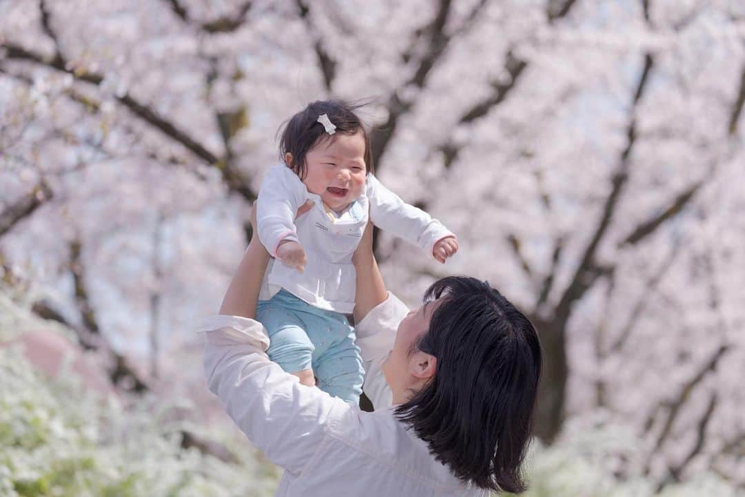 kyoko_zzzさんのインスタグラム写真 - (kyoko_zzzInstagram)「ニジュウマル！ . . ４枚目は昨年の写真☺️🌸 今年も撮らせてくれてありがとう！ . . #ポートレート  #portrait  #桜  #cutebaby」4月15日 21時50分 - kyoko_zzz