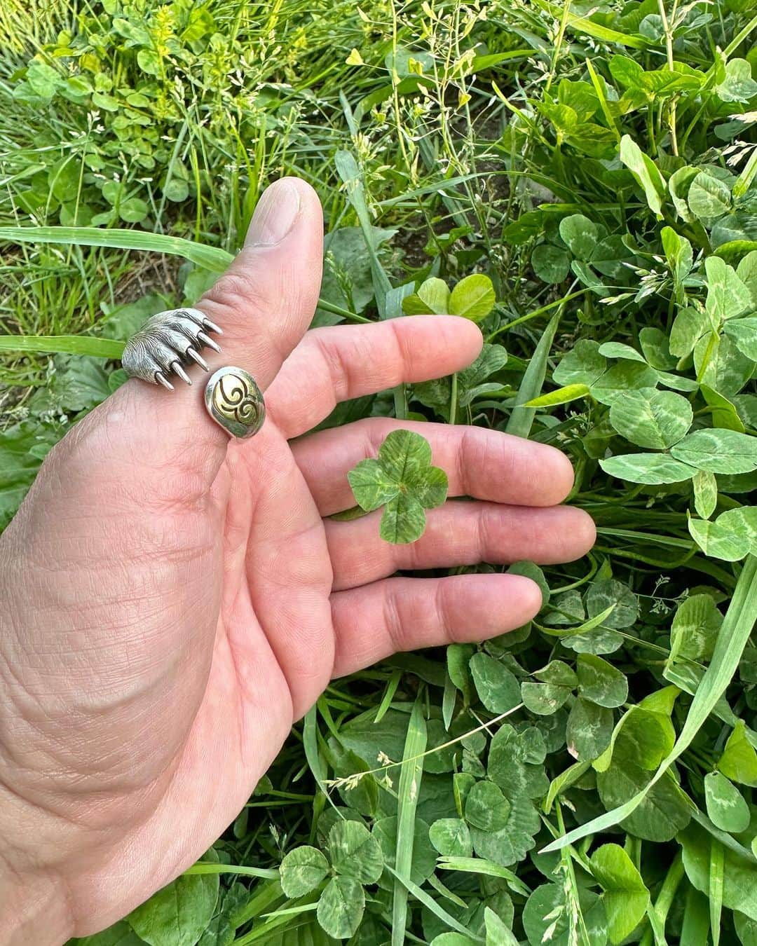 宇梶剛士のインスタグラム：「雨がずっと降っていたからね、この前今年初の🍀の時に、まだいくつも見つけていたのでした。鴨も泳がずに畑でうたた寝する気持ちの良い日でした。今日は出かける前に宝箱からお気に入りの⚾️をつけて満足大男☺️  明日天気にな〜れ🍀」