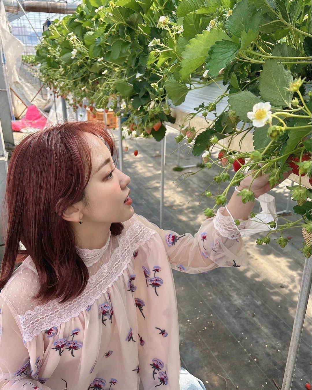 飯窪春菜のインスタグラム：「🍓  今日は雨でしたね〜☔️ 皆さんは何をして過ごしましたか？  私は久しぶりのお友達に会ってきたのですが、数年経っても連絡を取って会える関係、とても嬉しいなと思った日でした☺️  私は出会って仲良くなれた人との縁をとても大事にしているのですが、もちろん全ての人とタイミングが合うわけじゃないから会う頻度の高い低いがあります。 そうすると、久しぶりに会った時に最初だけ、なんだか気恥ずかしくなるんです😮‍💨笑  でも会ってみると楽しいし大好きだし、連絡も頻繁じゃなかったとしても、久しぶりでも私と会いたいと思ってくれたことが嬉しくてまた人を大事にしようと思えるのです☺️✊🏻  あまり関係ないけどLINEのお誕生日の通知、久しぶりに連絡取るにはとてもありがたい通知だからLINEやってる人みんな自分の誕生日を設定してほしいな！笑  人付き合い、たまにサボっちゃうけど会える時は積極的に、を心がけよっと☺️🌞  #こういう時の投稿って #ハッシュタグをどうしたらいいか分からないね #笑」