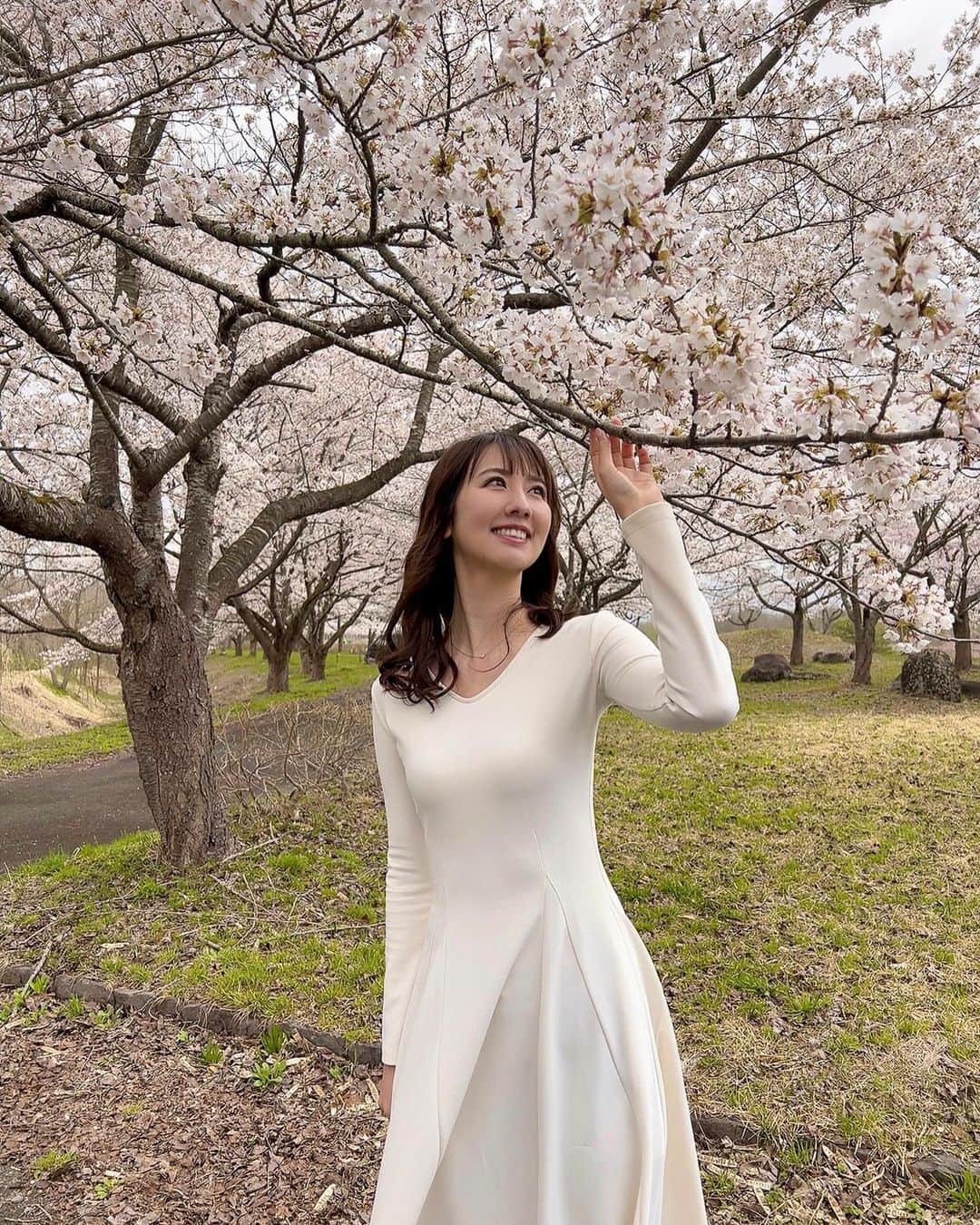 相場詩織のインスタグラム：「撮影で角館にお邪魔してきました🌸  雨が降ったり止んだりの不安定なお天気でしたが、 雨でしっとりと濡れた桜もまた 風情があり癒されました☺️  朝晩、そして雨の日はまだまだ肌寒いので 温かくしてお出掛け下さいね✨  #東北 #秋田 #角館 #武家屋敷 #東北旅行 #秋田旅行 #秋田観光 #お花見 #お花見スポット #絶景 #桜 #お花見コーデ #白ワンピース #akita #kakunodate  #cherryblossoms #벚꽃　#벚꽃축제　#벚꽃놀이」