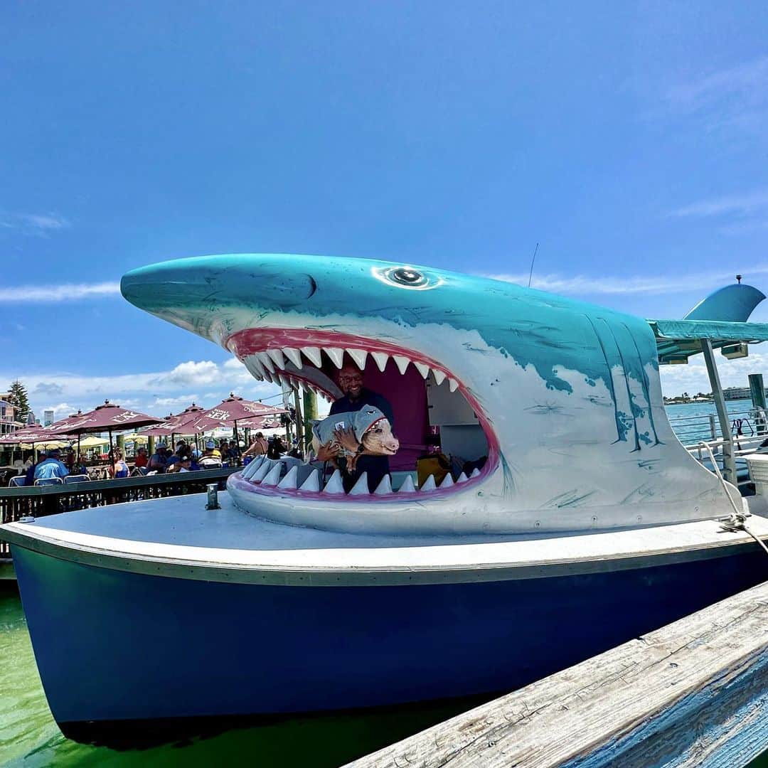 Priscilla and Poppletonさんのインスタグラム写真 - (Priscilla and PoppletonInstagram)「Leave it to Pop to get a VIPig tour of the famous Shark Boat in Madeira Beach! ThOINKs Captain Mike for making Pop’s trip. I’m not sure which one of you was smiling bigger. You really never know where you might spot a Poppleshark these days!⛴️🦈🐷 #maderiabeach #johnspass #sharkboat #poppleshark #prissyandpop」4月15日 23時05分 - prissy_pig