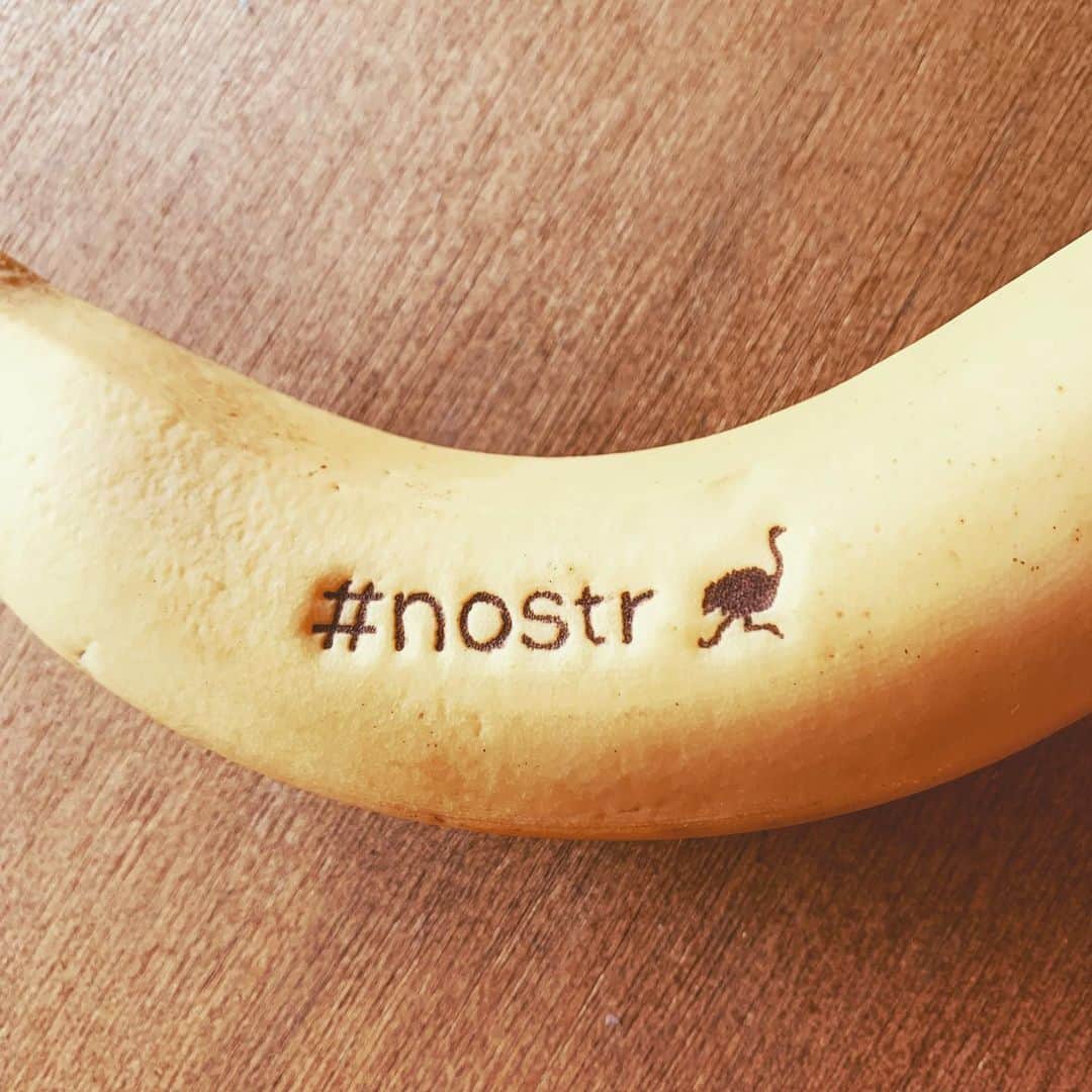 エンドケイプのインスタグラム：「#bananaart  #banana  #nostr #nostrich  #endcape」