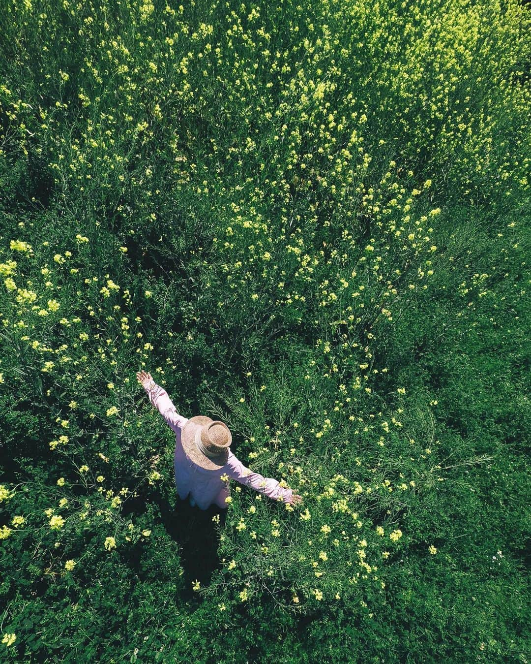 shinichi38のインスタグラム：「⁡ ⁡ The Sound of Music 🌿 ⁡  #shotoniphone14pro  #shotoniphone  #apple」