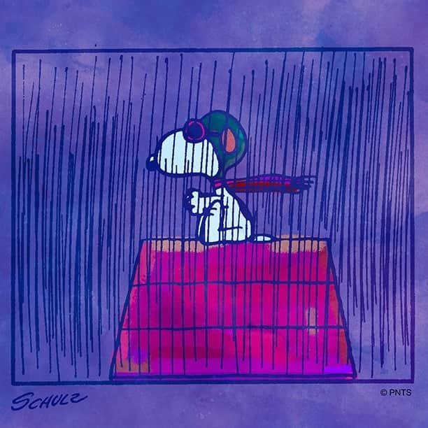 のインスタグラム：「April showers 🌧️」
