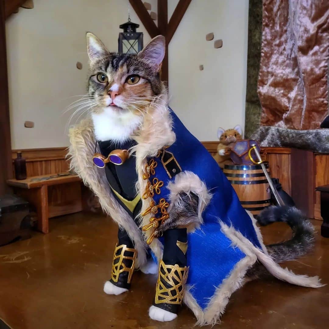 猫コスプレさんのインスタグラム写真 - (猫コスプレInstagram)「💥 POP POP 💥 Let's go @marisha_ray!  #CreatorClash2 #CreatorClash」4月16日 2時29分 - cat_cosplay