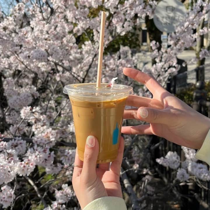 Blue Bottle Coffeeさんのインスタグラム写真 - (Blue Bottle CoffeeInstagram)「Cherry Blossoms (Sakura) are symbolic of spring and represent a time of renewal and optimism. Visit our Fukuoka Coffee Truck to witness them in full bloom.」4月16日 3時01分 - bluebottle