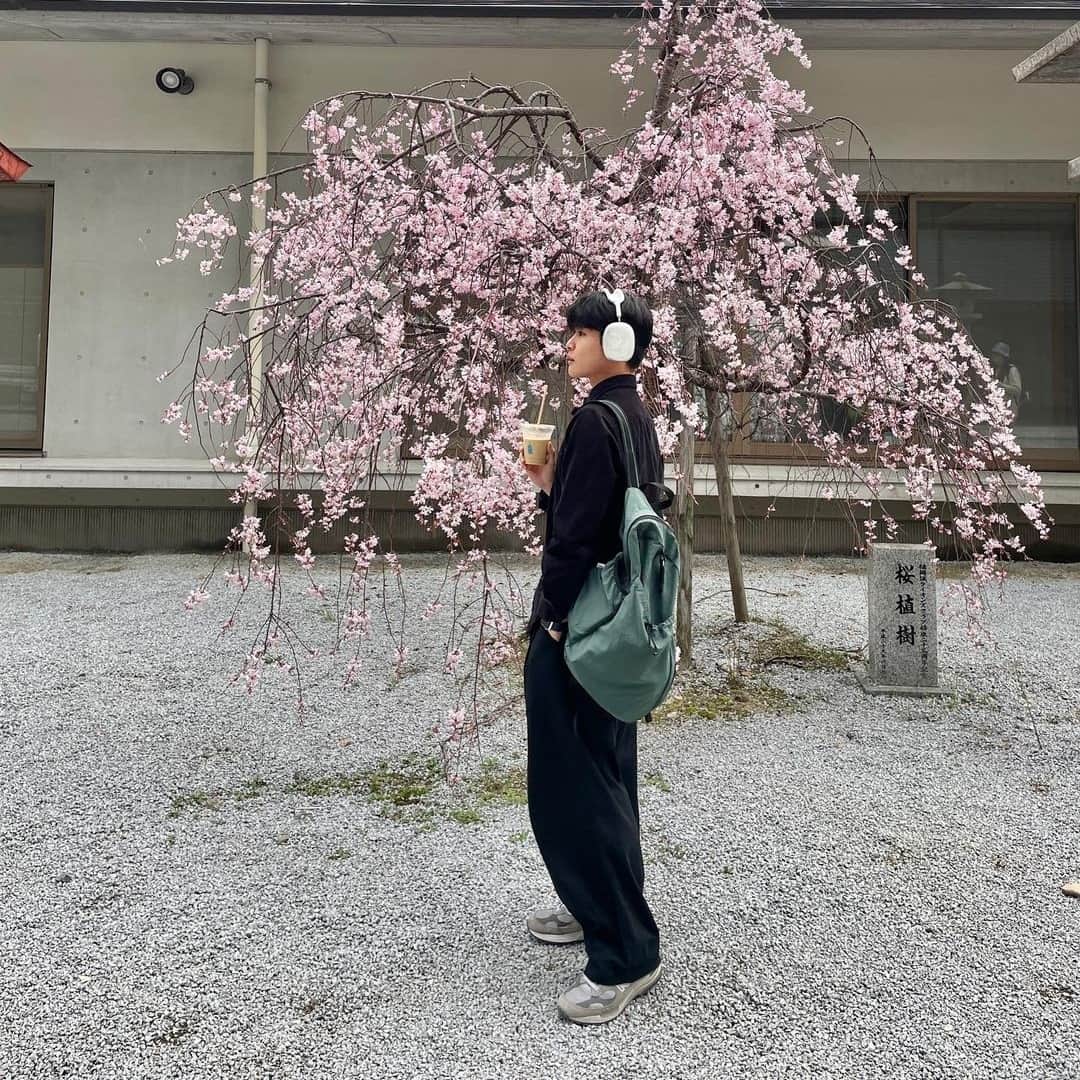 Blue Bottle Coffeeさんのインスタグラム写真 - (Blue Bottle CoffeeInstagram)「Cherry Blossoms (Sakura) are symbolic of spring and represent a time of renewal and optimism. Visit our Fukuoka Coffee Truck to witness them in full bloom.」4月16日 3時01分 - bluebottle
