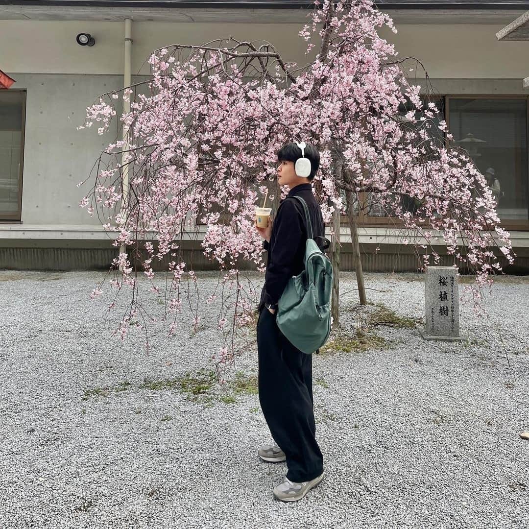 Blue Bottle Coffeeのインスタグラム：「Cherry Blossoms (Sakura) are symbolic of spring and represent a time of renewal and optimism. Visit our Fukuoka Coffee Truck to witness them in full bloom.」