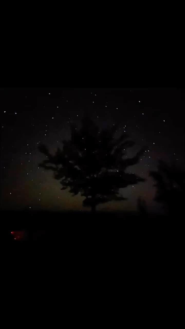 エヴァンジェリン・リリーのインスタグラム：「My night last night. ✨ 1. Starry tree 2. Stars on a tidal pool 3. Knees in the fire  Laying out under the stars for hours on end, doing nothing but tending a fire, slipping in and out of cuddling, and eating, and talking, and dozing...  Right before we left, I took these photos to remember the night.   #perfectnight #perfectdate #stars #nature #beach #campfire #silence #stillness #peace #starrynight」