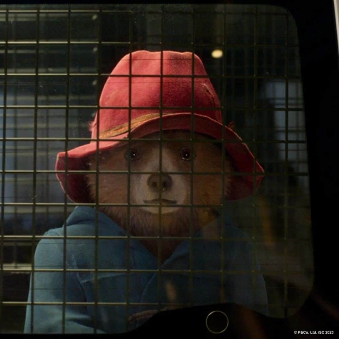 Paddington Bearさんのインスタグラム写真 - (Paddington BearInstagram)「"Stop crying, it's just a film"  The film:」4月16日 3時30分 - paddingtonbear