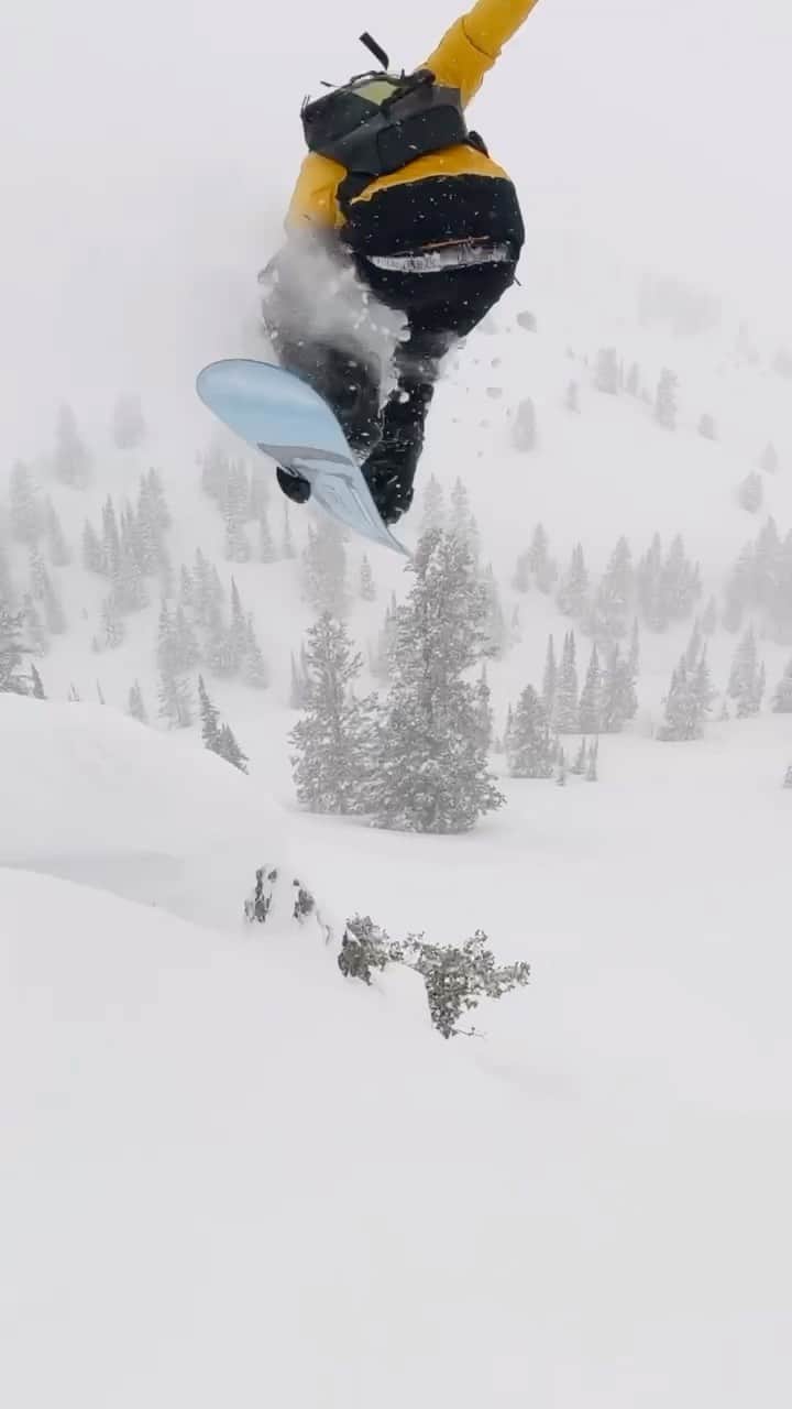 クイックシルバーのインスタグラム：「Snow report via @quiksilver.snow and @gsiebs 🚨   Still deep. 🎥- @bigjay_lilworld」