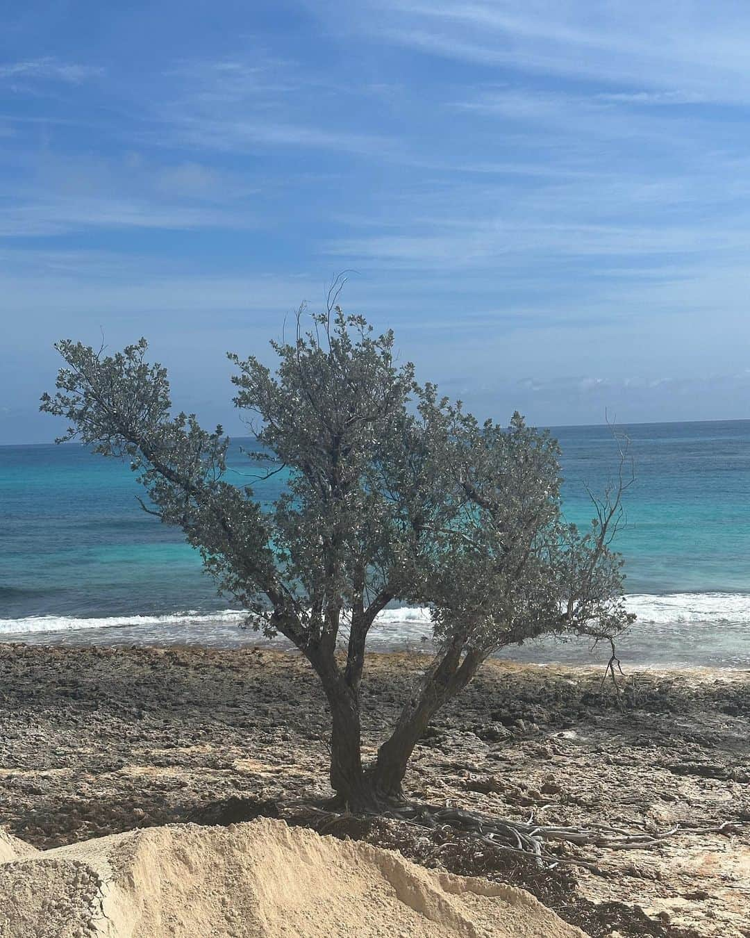 ボビー・ブラウンさんのインスタグラム写真 - (ボビー・ブラウンInstagram)「It is better in the Bahamas. #bahamas #abacos #bakersbay ahhhhhhh.」4月16日 4時50分 - justbobbidotcom