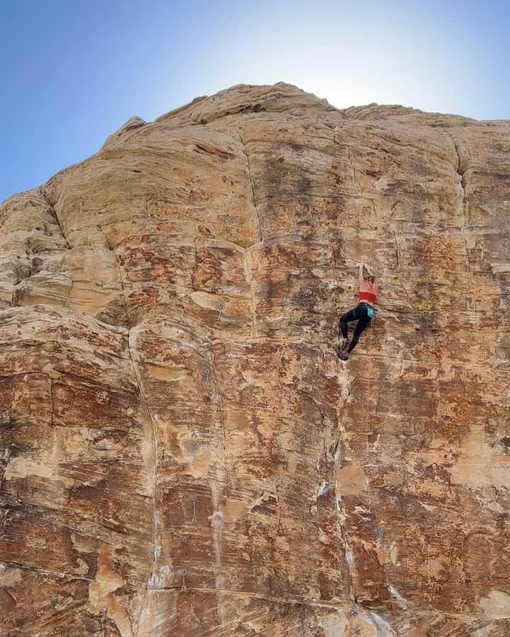 エミリー・ハリントンのインスタグラム：「Moms sending 🙌🏻 What a joy it is to be in the desert climbing and spending time with one of my closest friends and biggest inspirations @paigeclaassen 🤎 The past week we got to meet each other’s babies, cook meals together, and share in the chaos and beauty of trying to balance motherhood, career & passion. We even got to belay one another yesterday and we each sent! How cool is that? Not pictured is our support crew who enabled us to actually be able to climb a pitch together (just one but both send burns 🔥) @adrianballinger @walterchiarella @arjandekock 🙏🏻 // @kodiakcakes // @vuarnetofficial // @lasportivana // @petzl_official // @tincupwhiskey // 📽️“Ambushed” 13a」