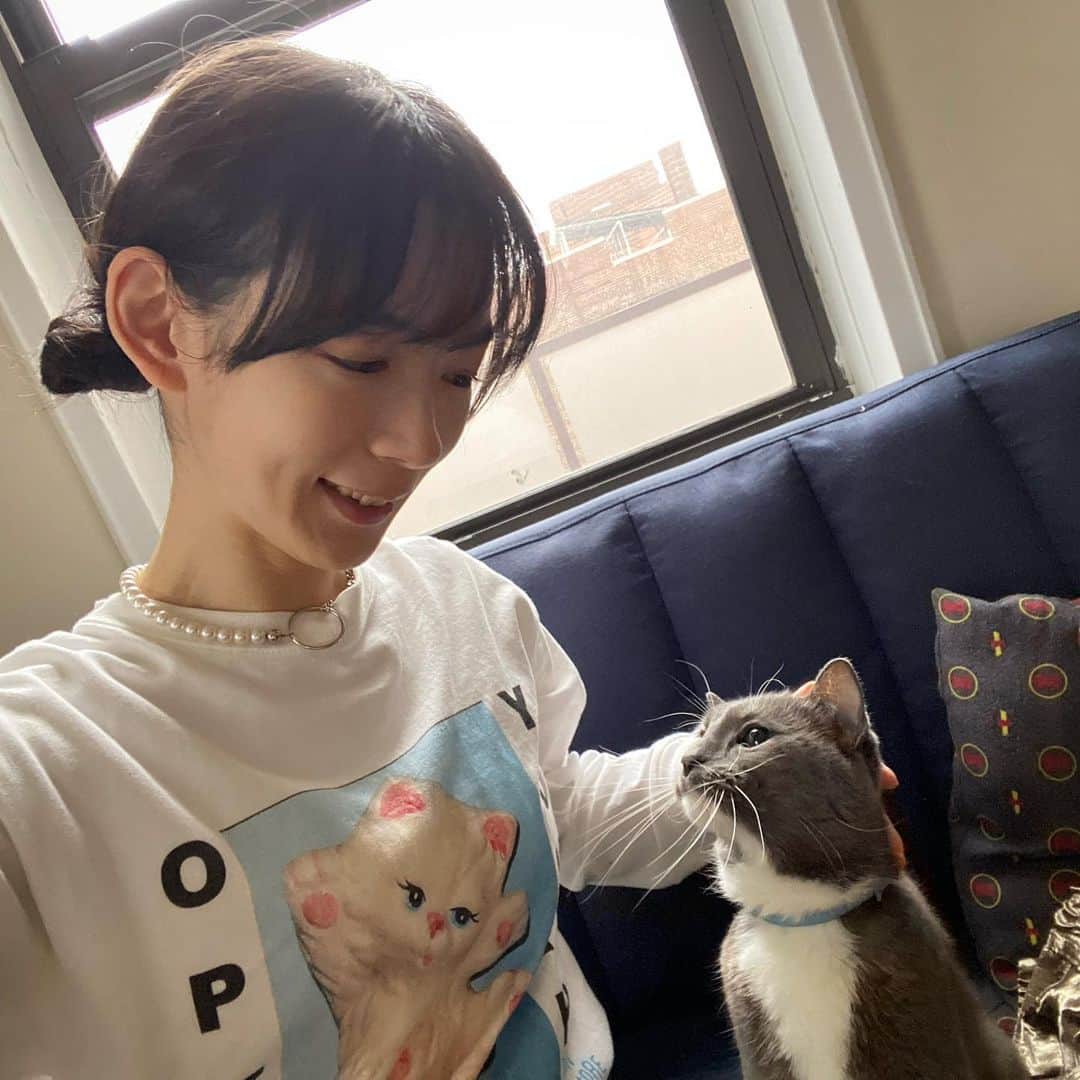 のインスタグラム：「👧🏻🐈‍⬛☀️  ネコチャンズは皆友達」